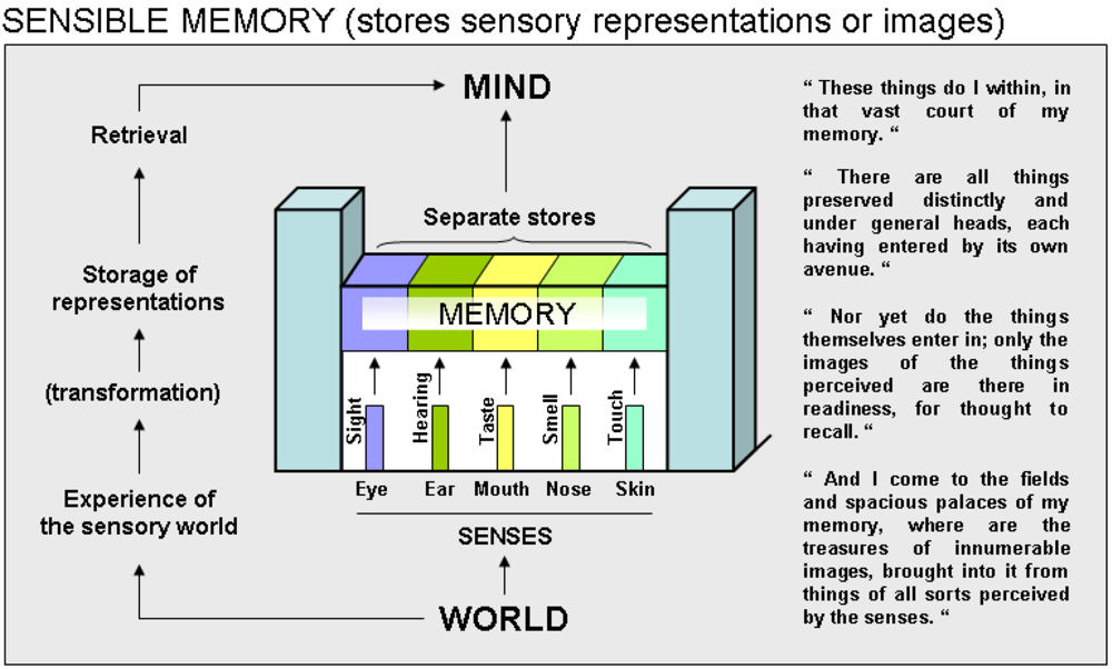 Behavsci 03 00021 g001
