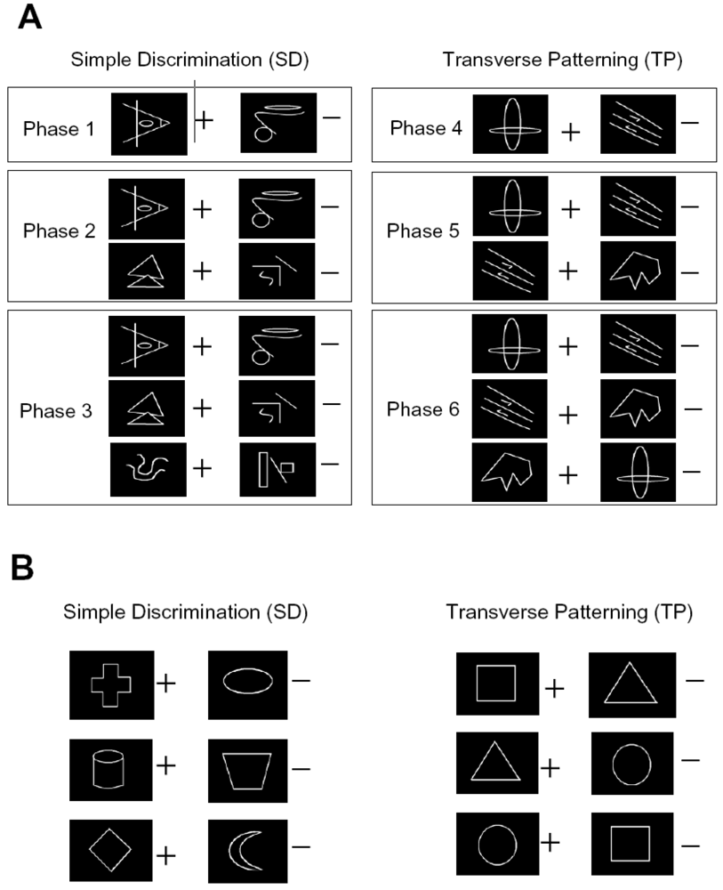 Behavsci 03 00206 g001