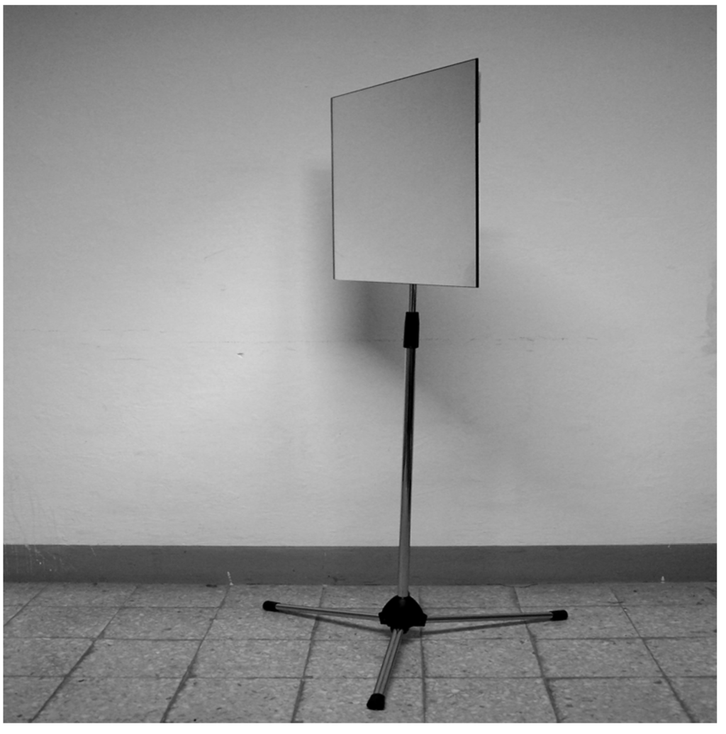 Behavsci 04 00001 g001 1024