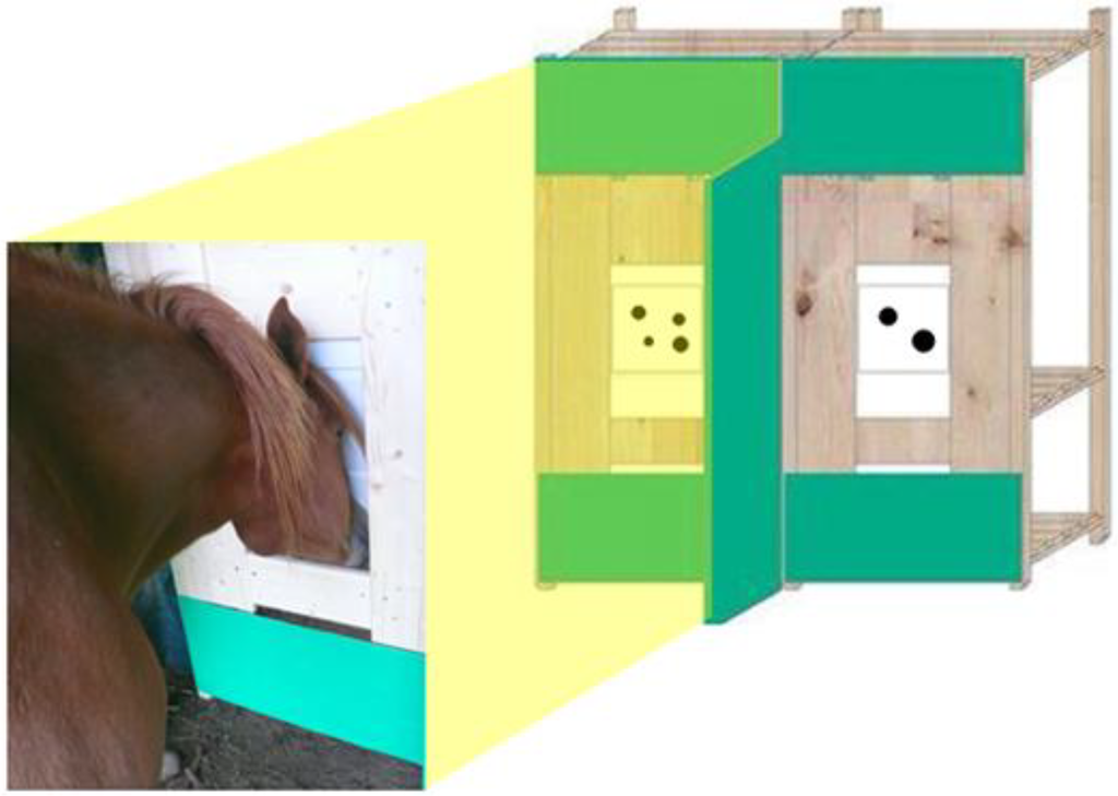 Behavsci 04 00213 g001 1024