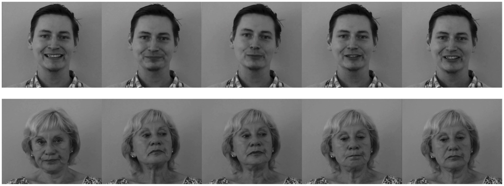 Behavsci 05 00443 g001 1024