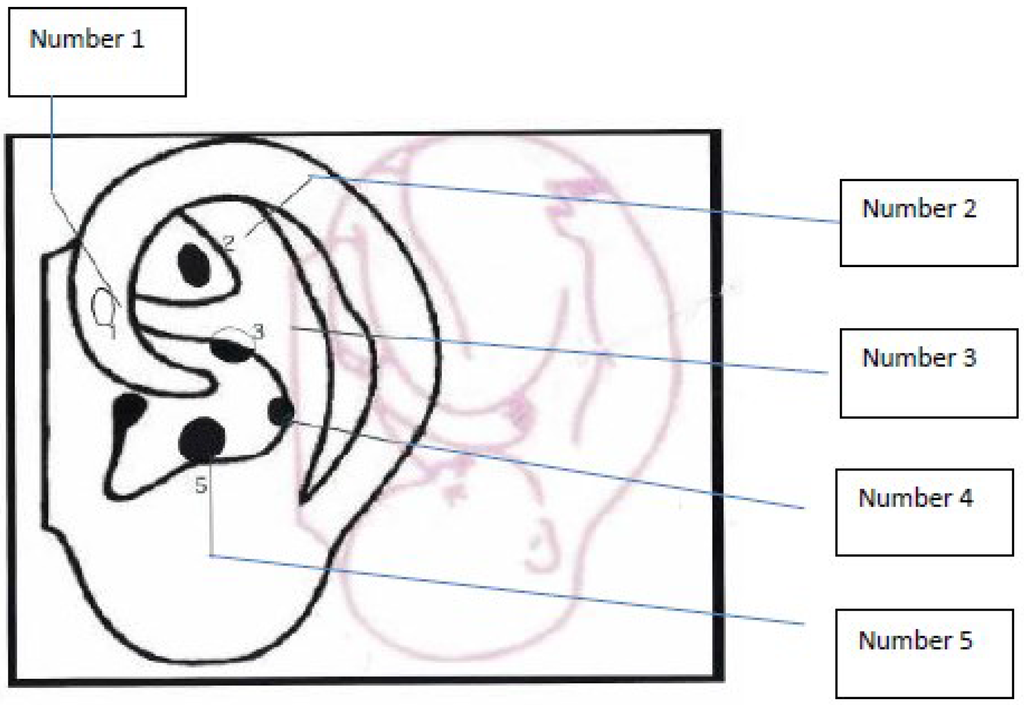 Behavsci 05 00537 g001 1024