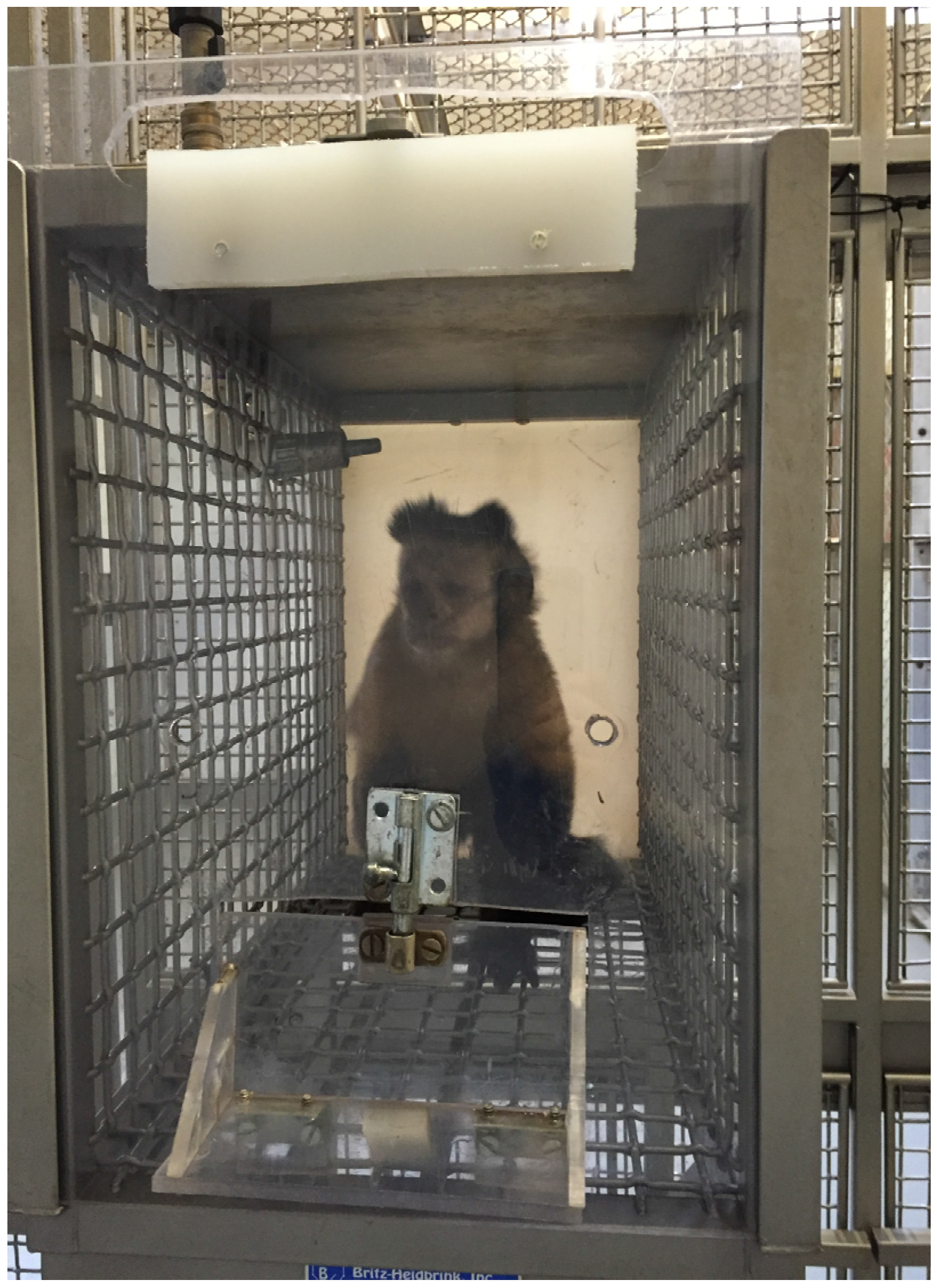 Behavsci 06 00016 g001