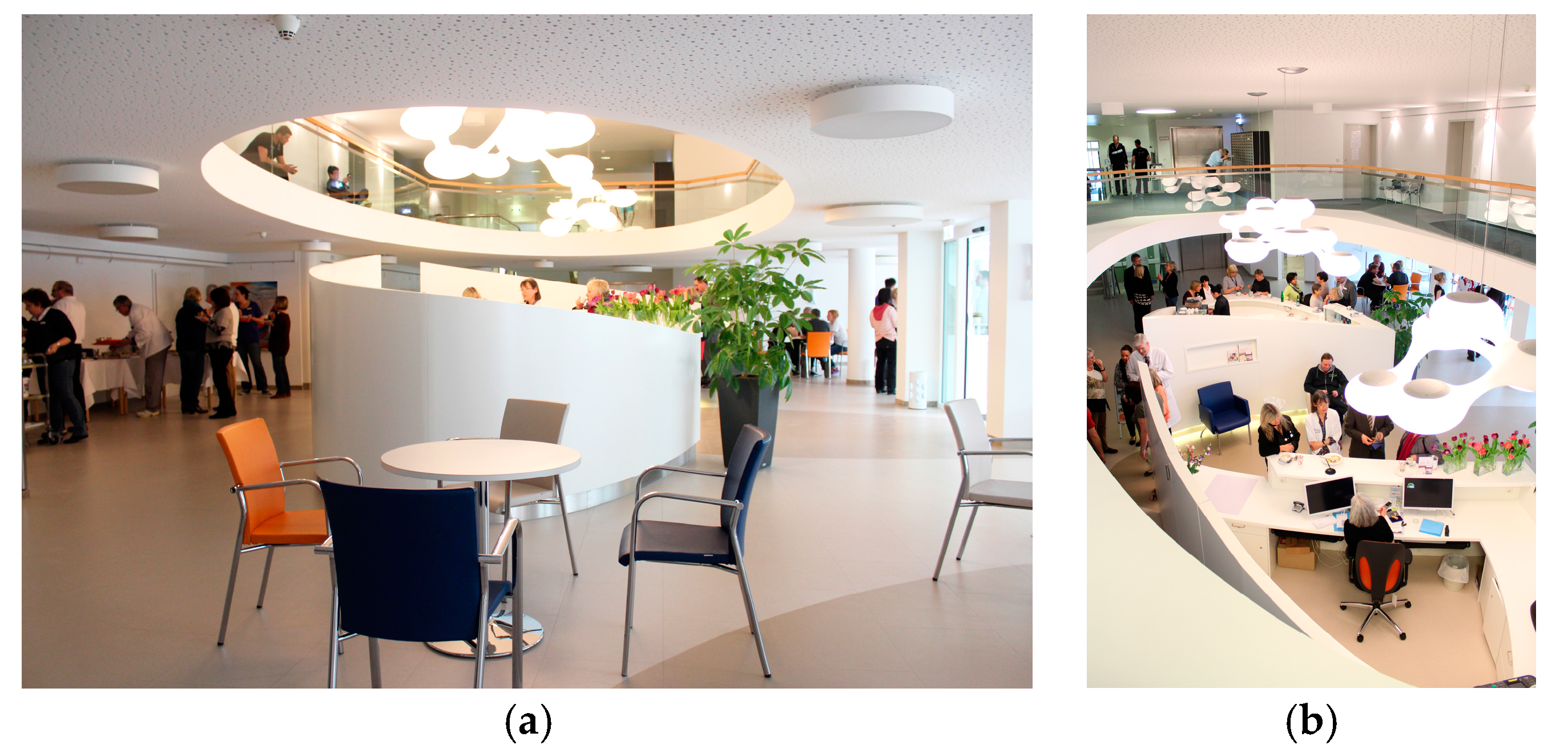 Behavsci 07 00077 g002