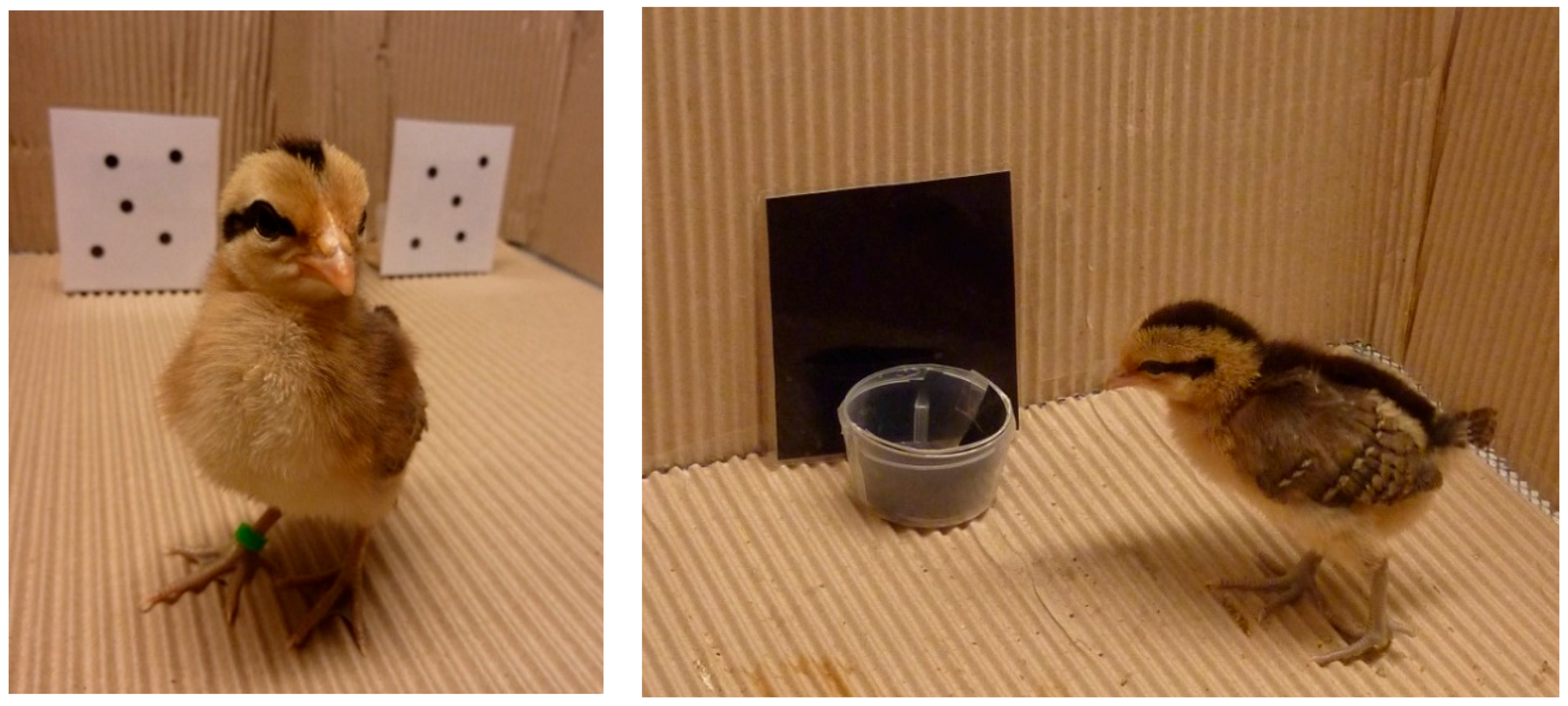 Behavsci 08 00013 g002 Behavsci 08 00013 g002