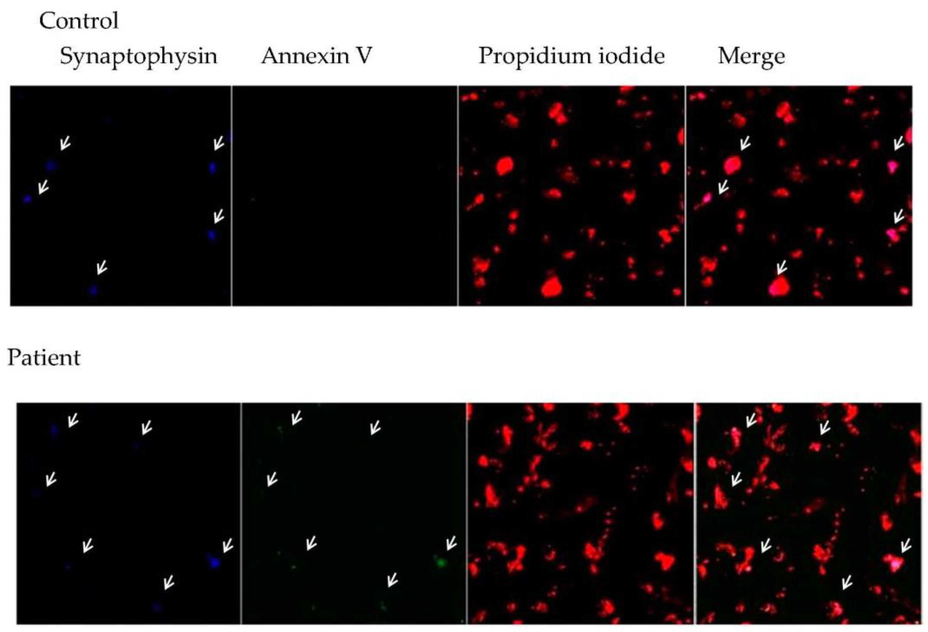 Behavsci 08 00021 g005