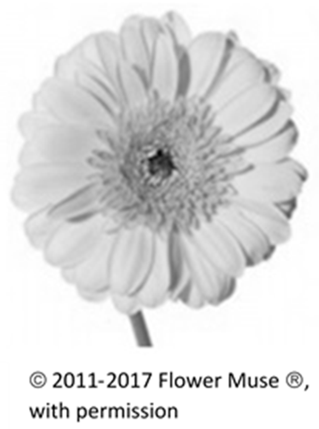 Behavsci 08 00032 g002