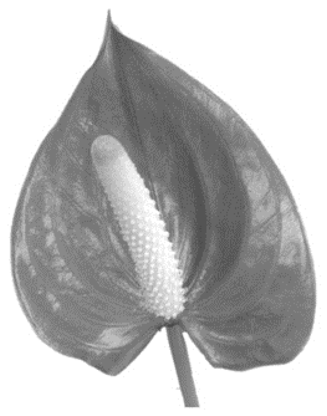 Behavsci 08 00032 g003