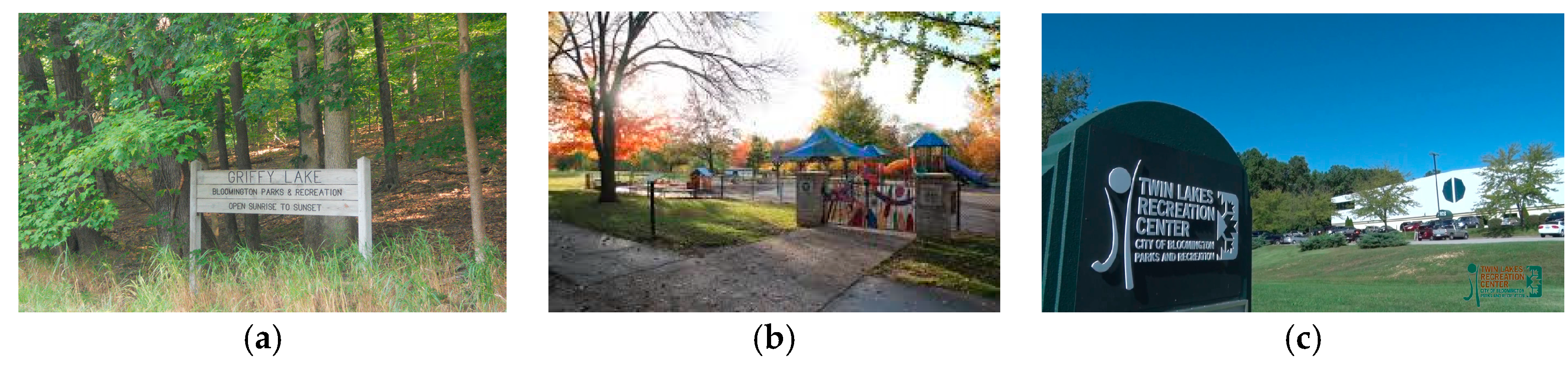 Behavsci 08 00049 g001