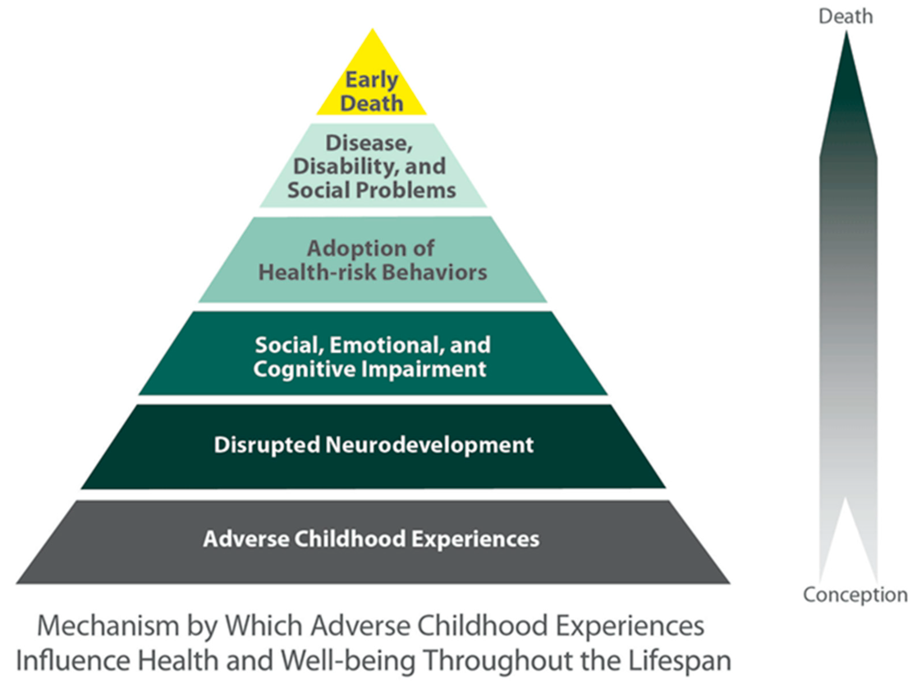 Behavsci 08 00095 g001