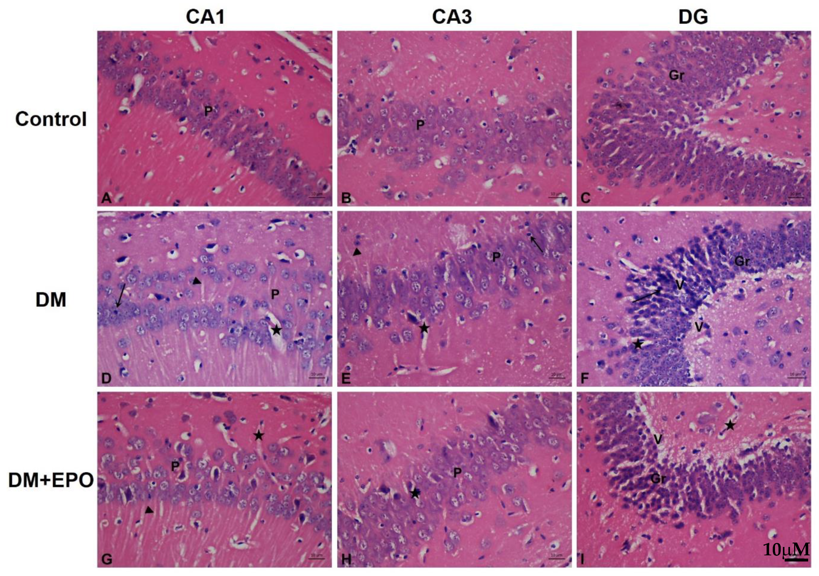 Behavsci 09 00004 g002 Behavsci 09 00004 g002