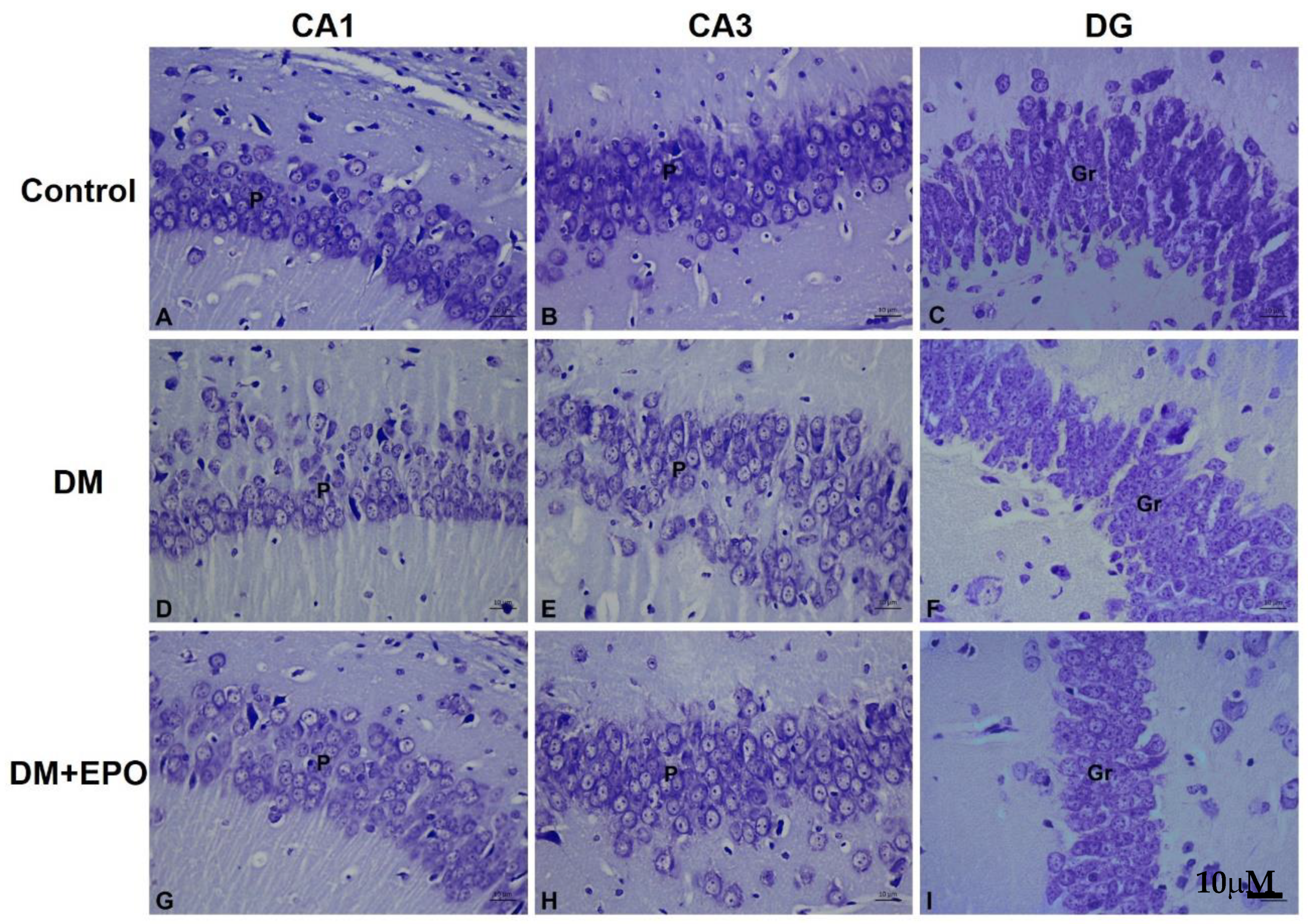 Behavsci 09 00004 g003 Behavsci 09 00004 g003
