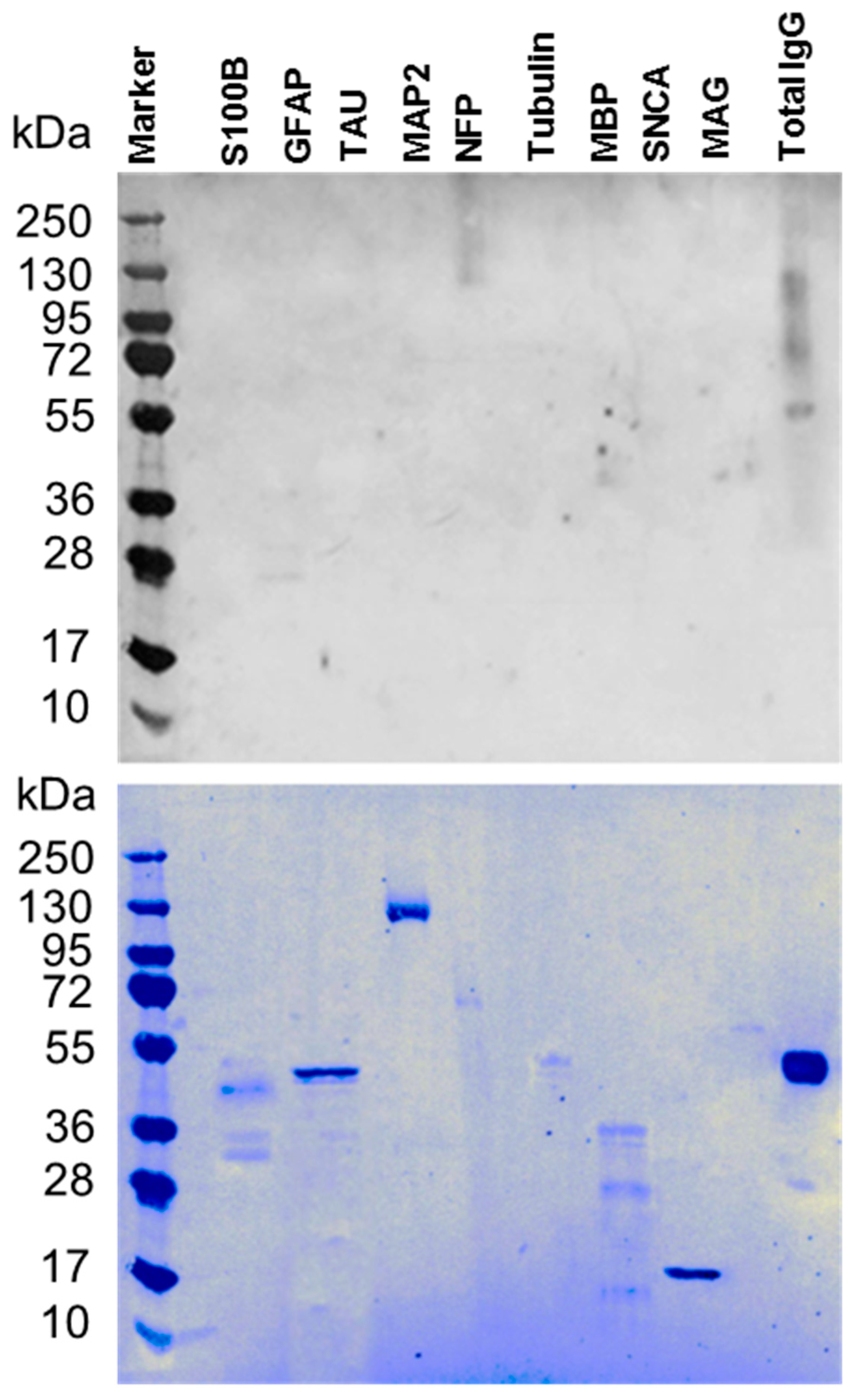 Behavsci 09 00047 g001