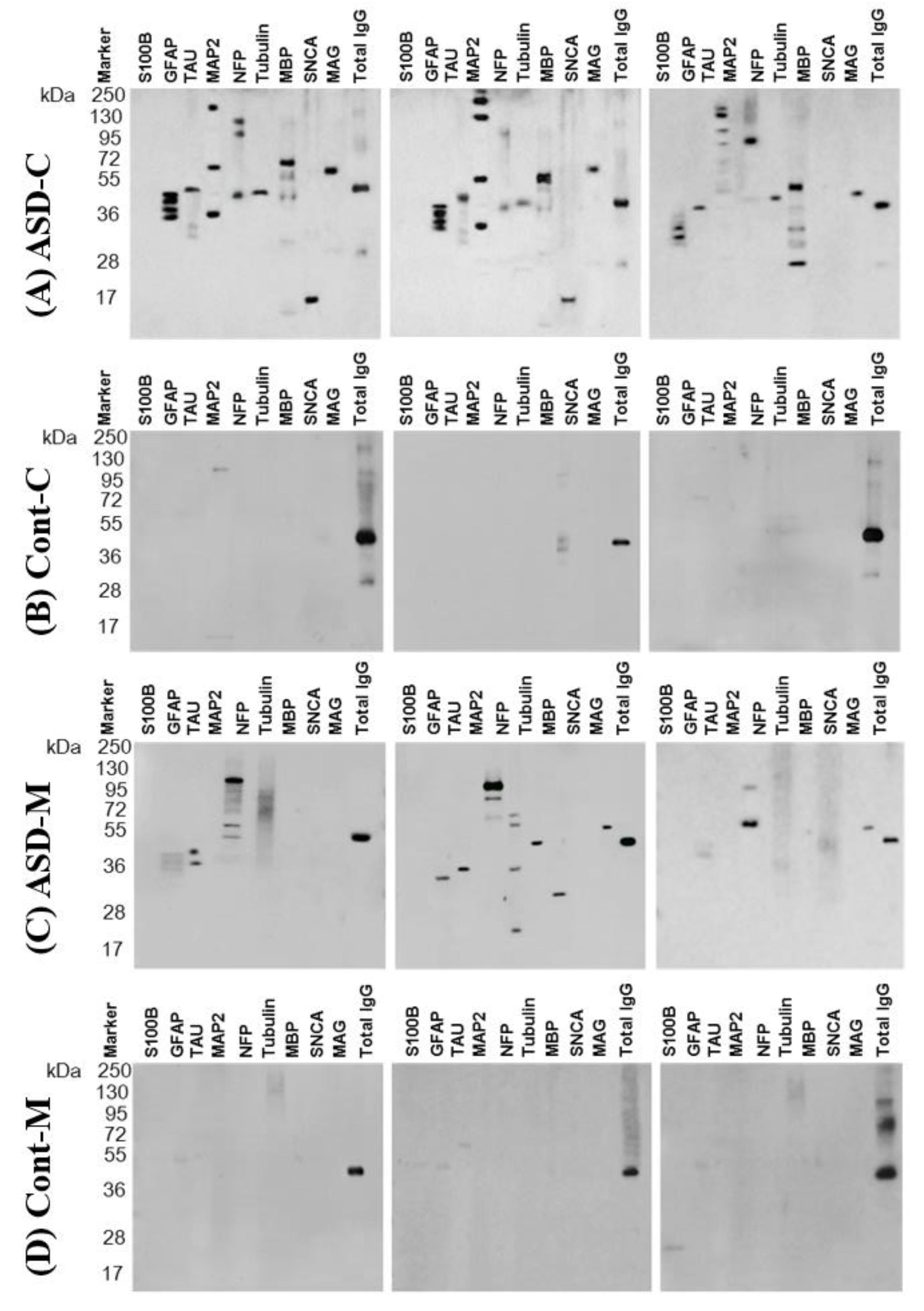 Behavsci 09 00047 g002