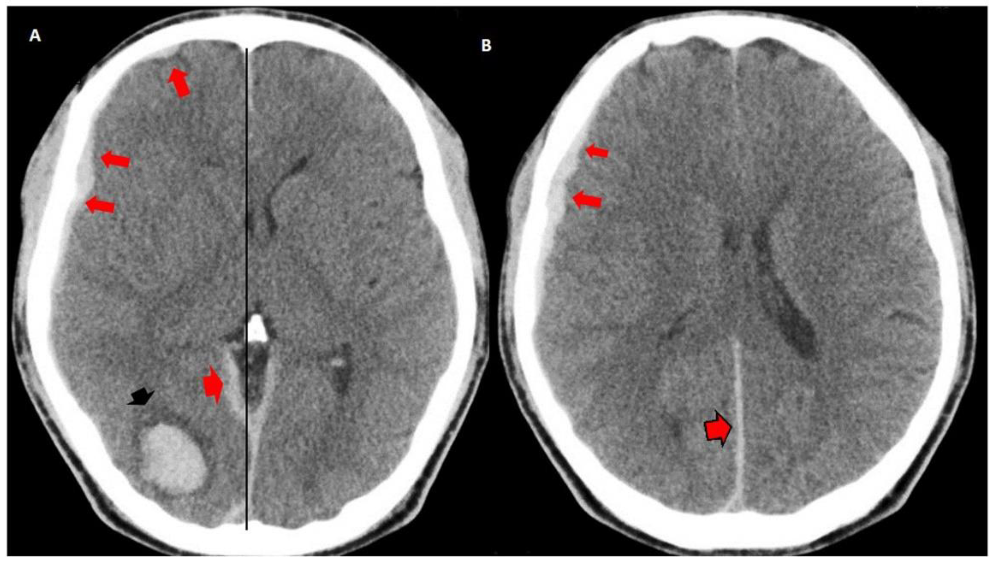 Behavsci 09 00063 g001 Behavsci 09 00063 g001