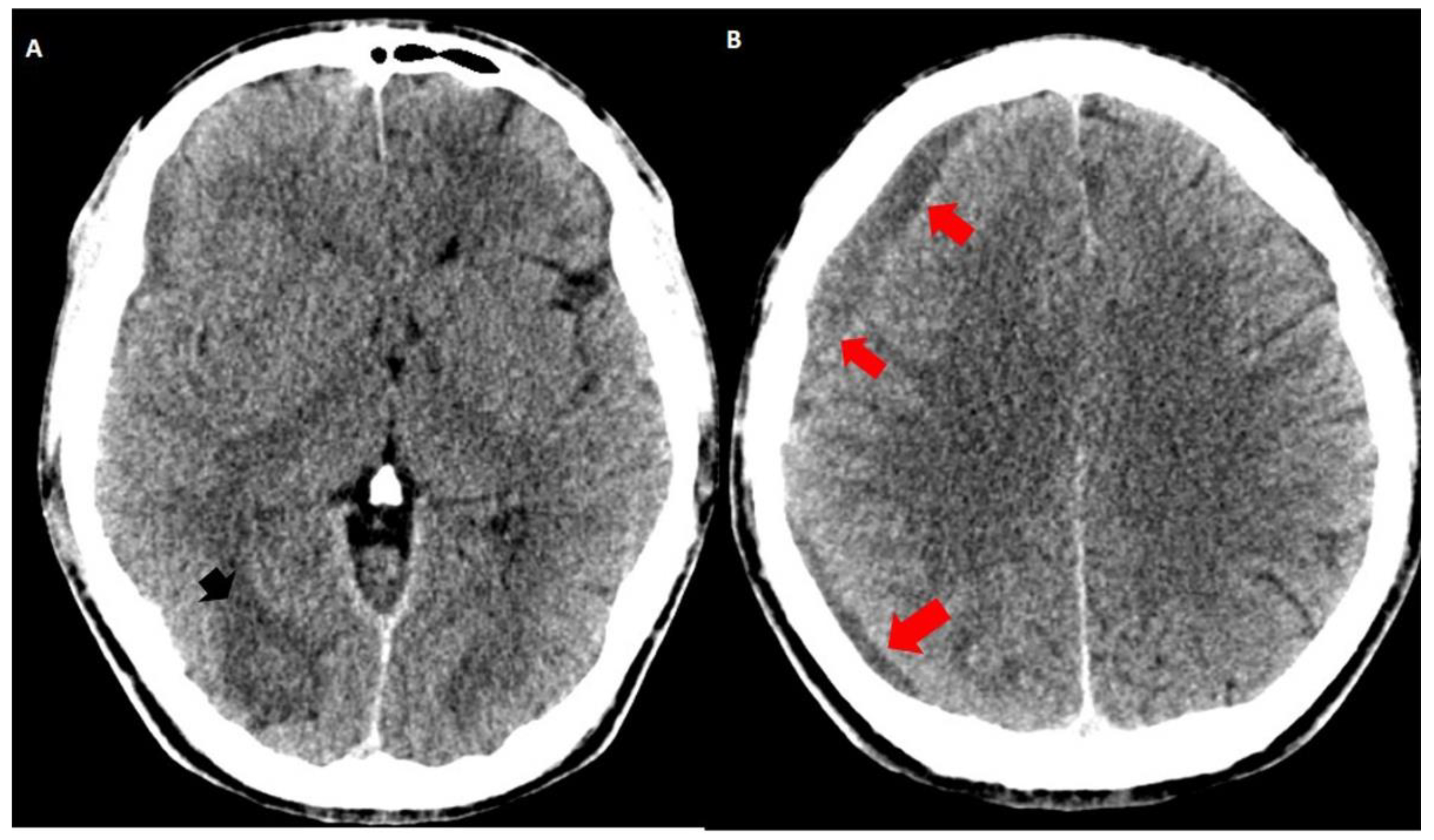 Behavsci 09 00063 g002 Behavsci 09 00063 g002