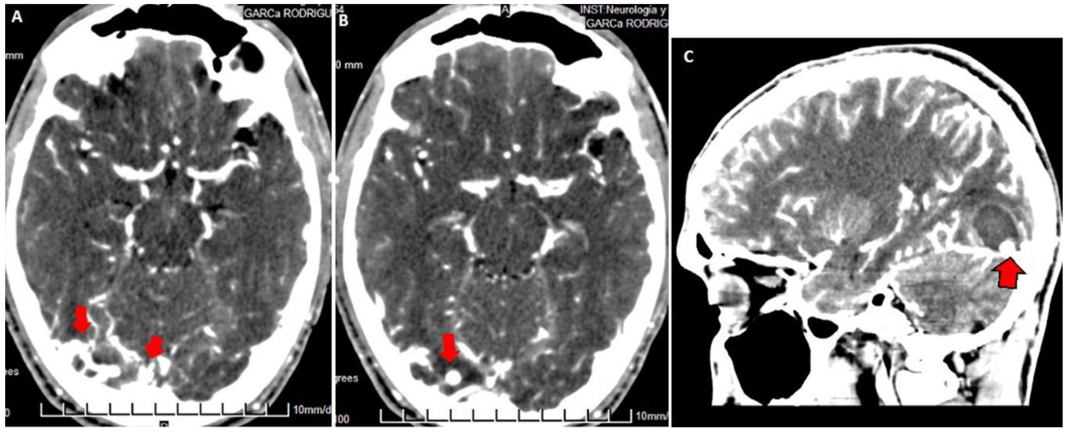 Behavsci 09 00063 g003 Behavsci 09 00063 g003