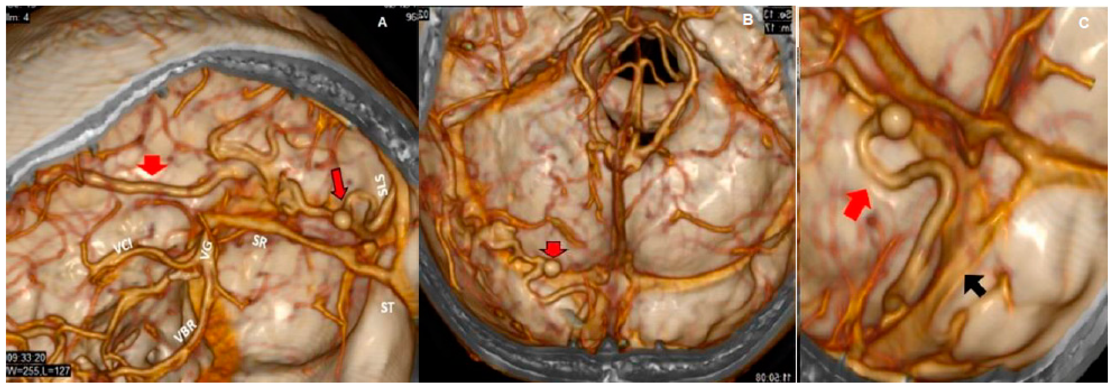 Behavsci 09 00063 g004 Behavsci 09 00063 g004