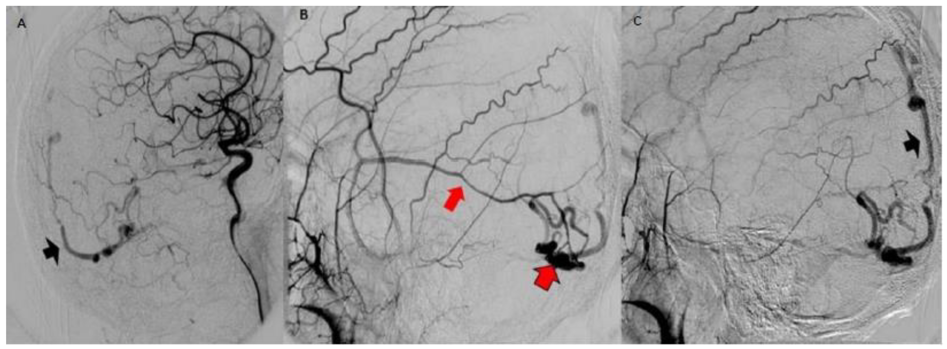 Behavsci 09 00063 g005 Behavsci 09 00063 g005