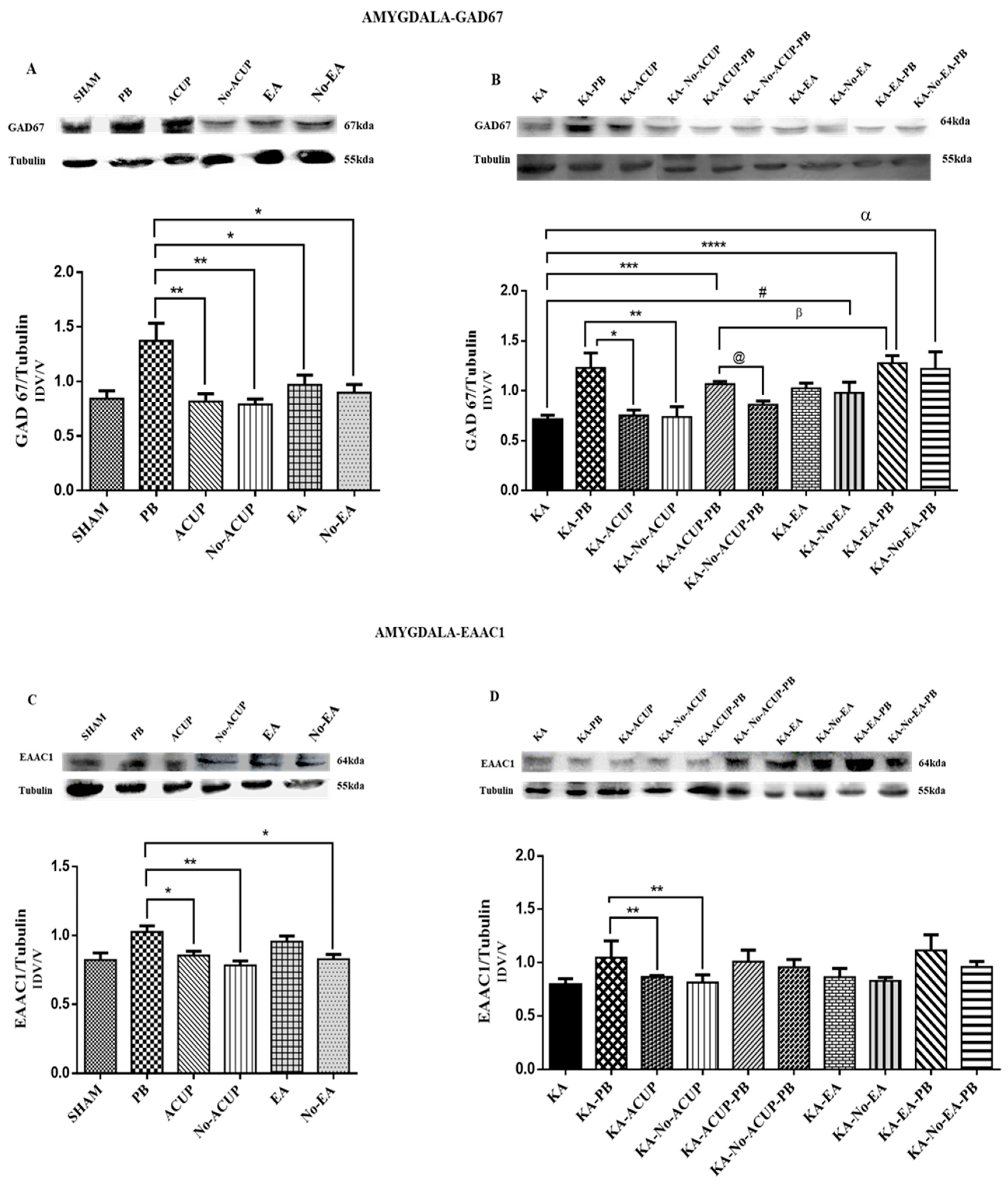 Behavsci 09 00068 g005