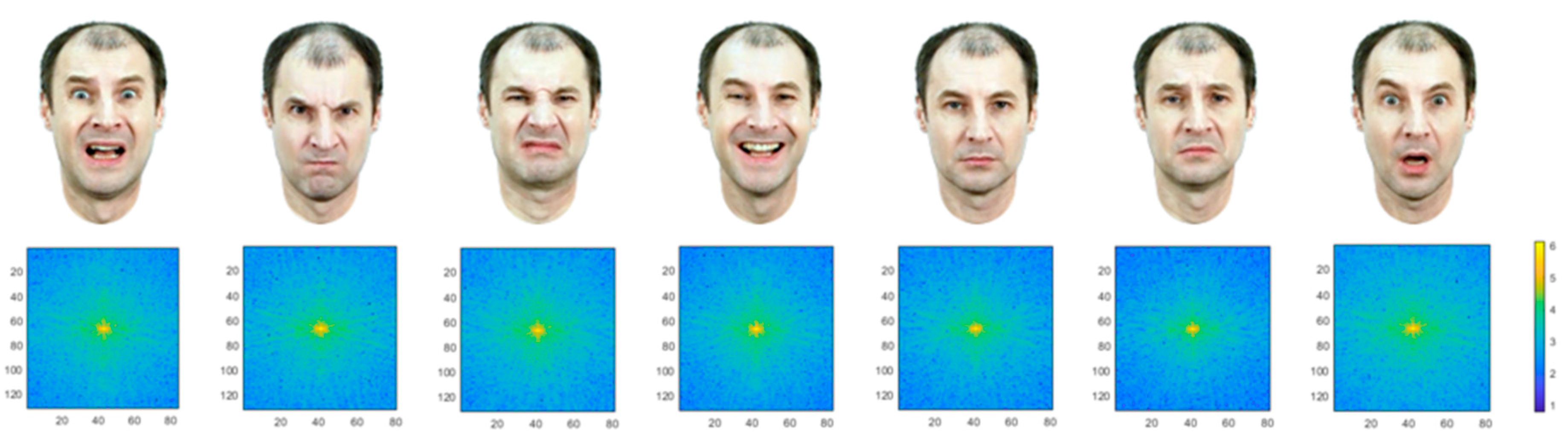 Behavsci 09 00131 g001