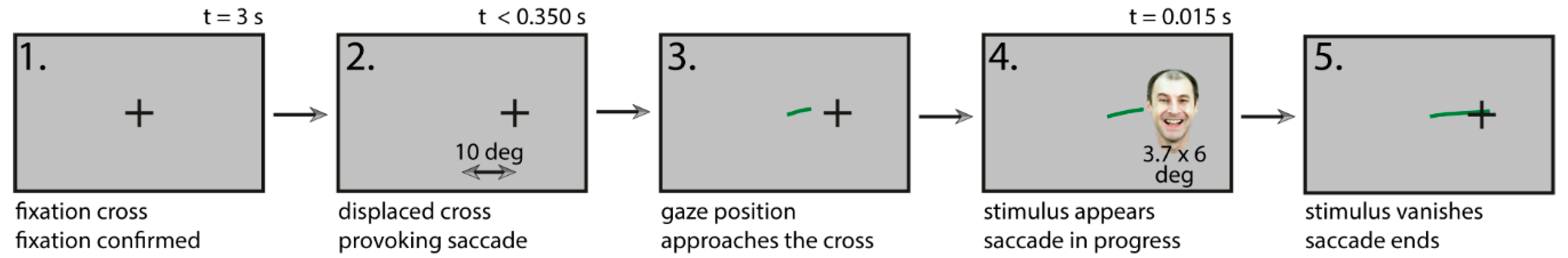 Behavsci 09 00131 g002