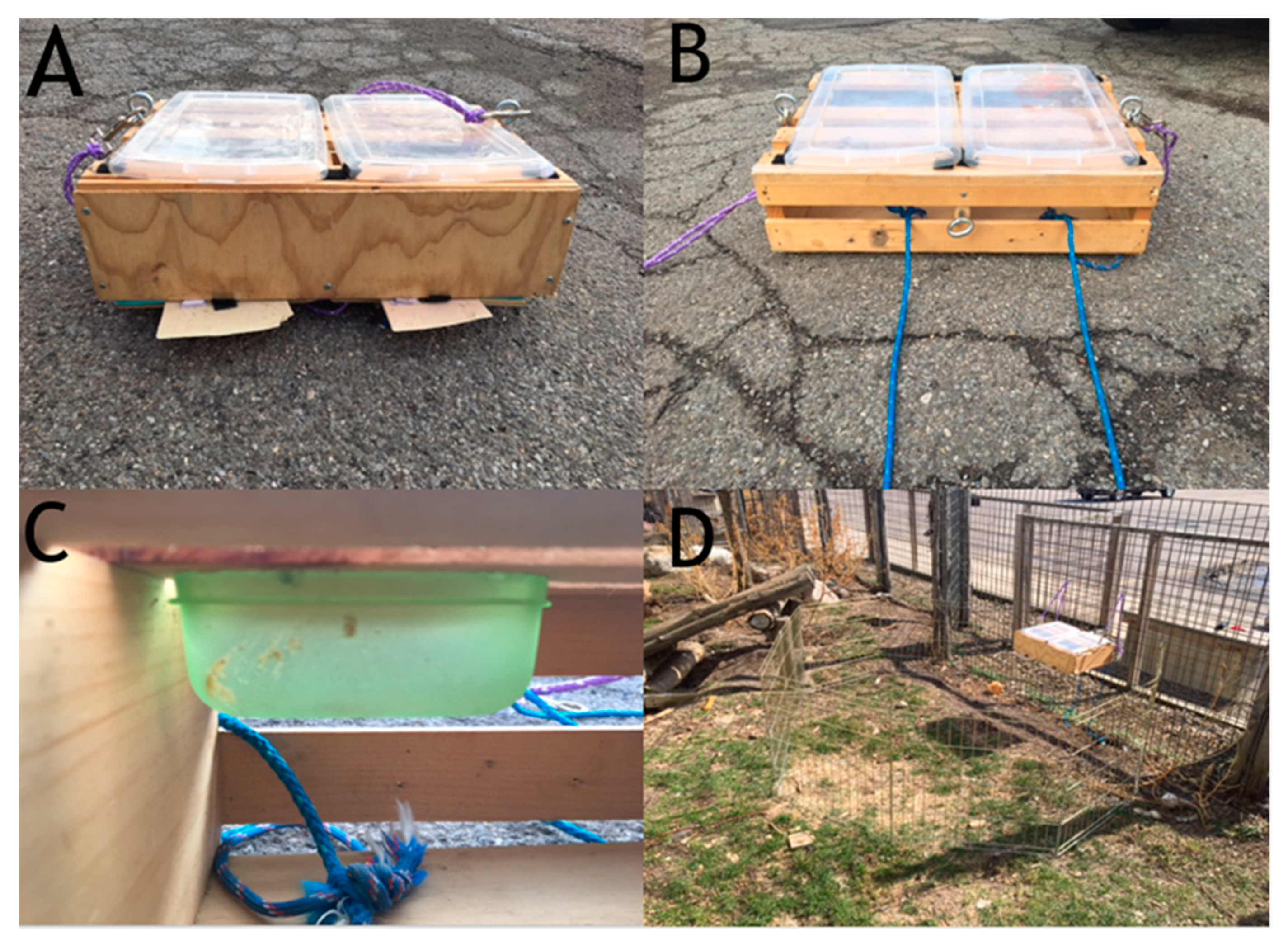 Behavsci 10 00081 g001 Behavsci 10 00081 g001