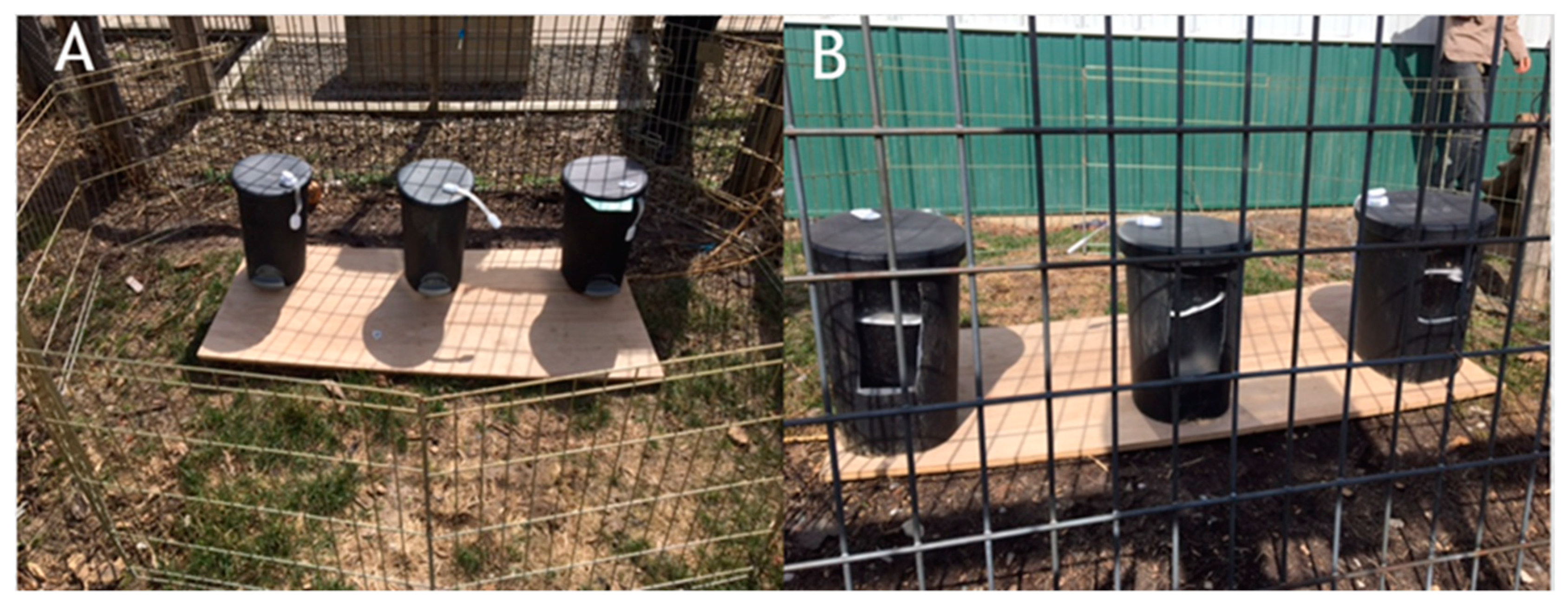 Behavsci 10 00081 g005 Behavsci 10 00081 g005