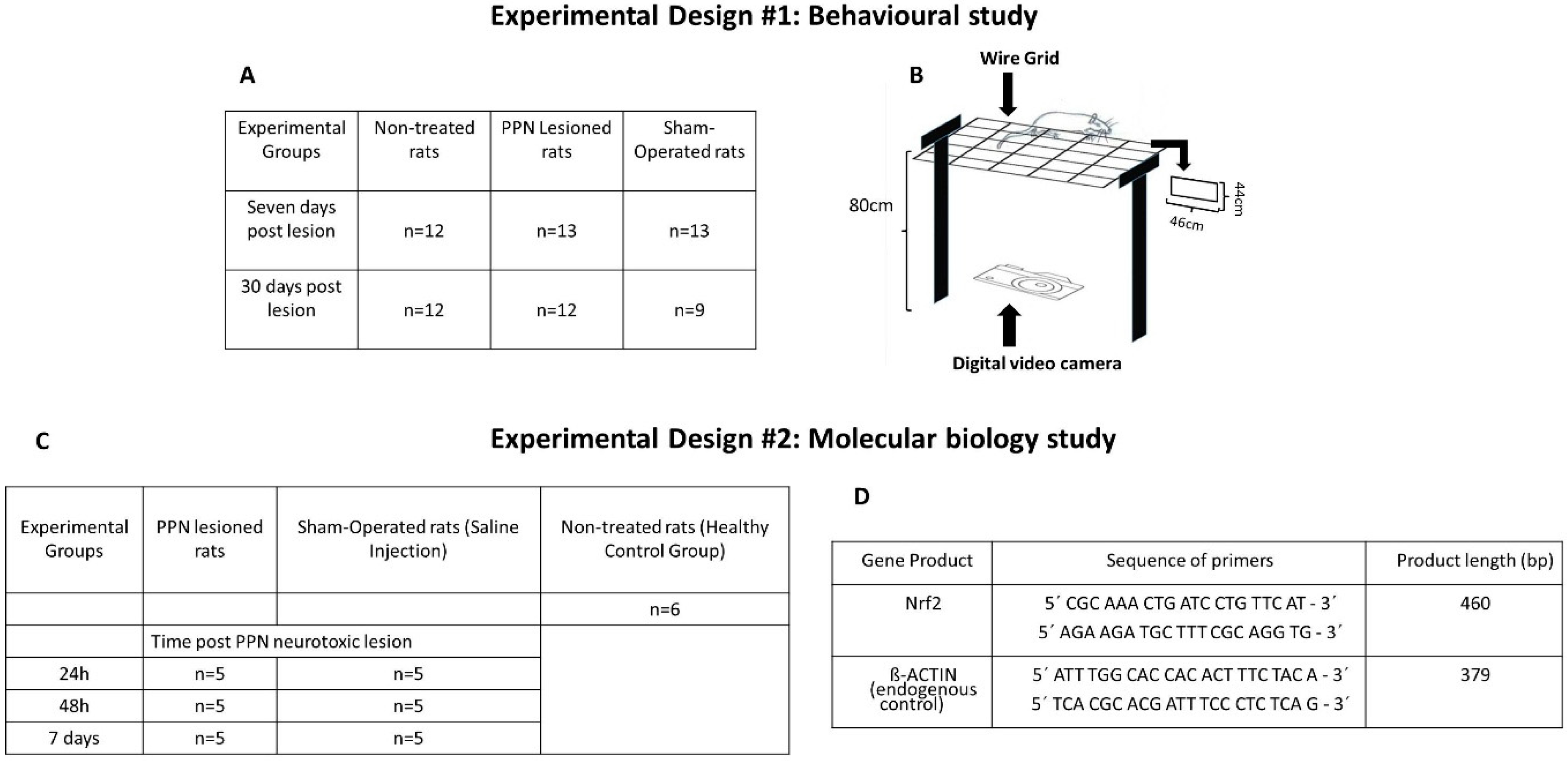 Behavsci 10 00156 g002