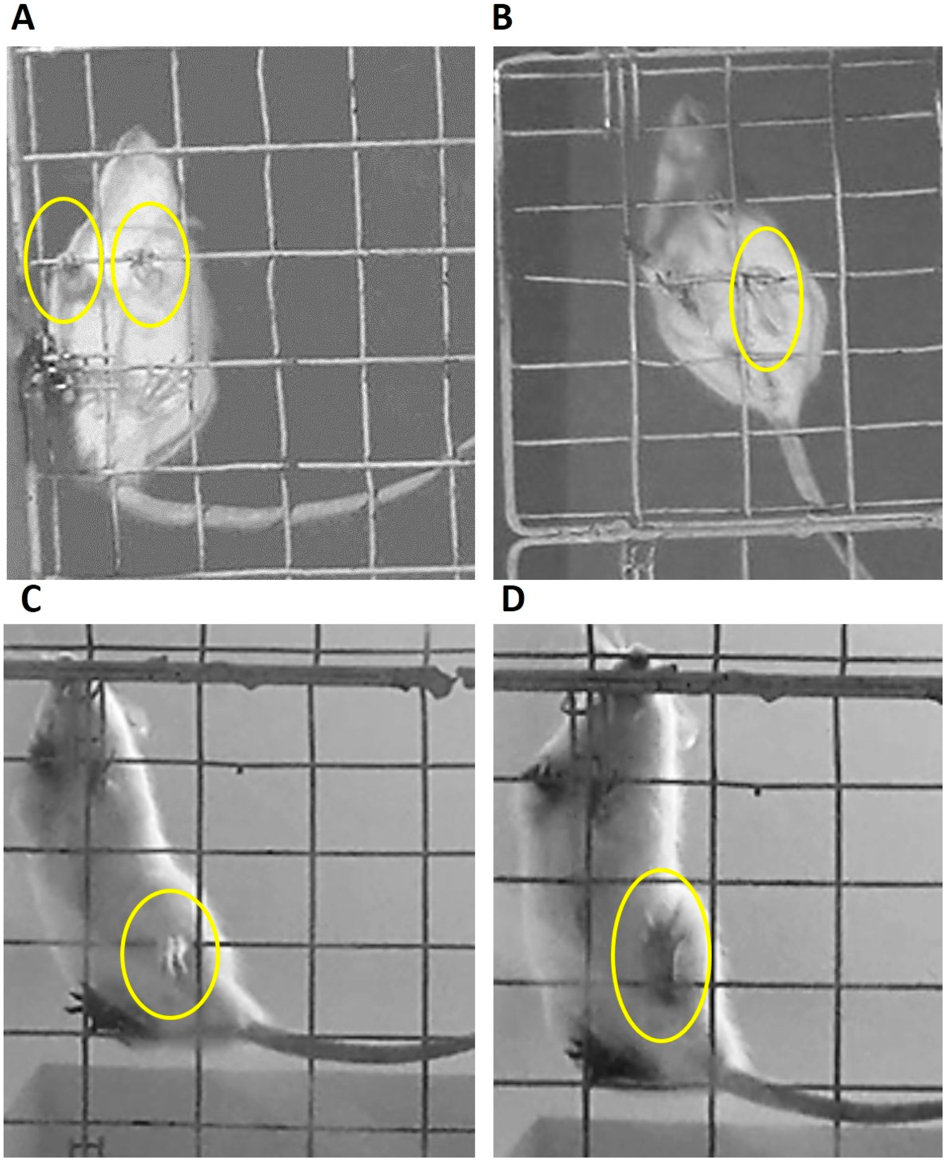 Behavsci 10 00156 g004