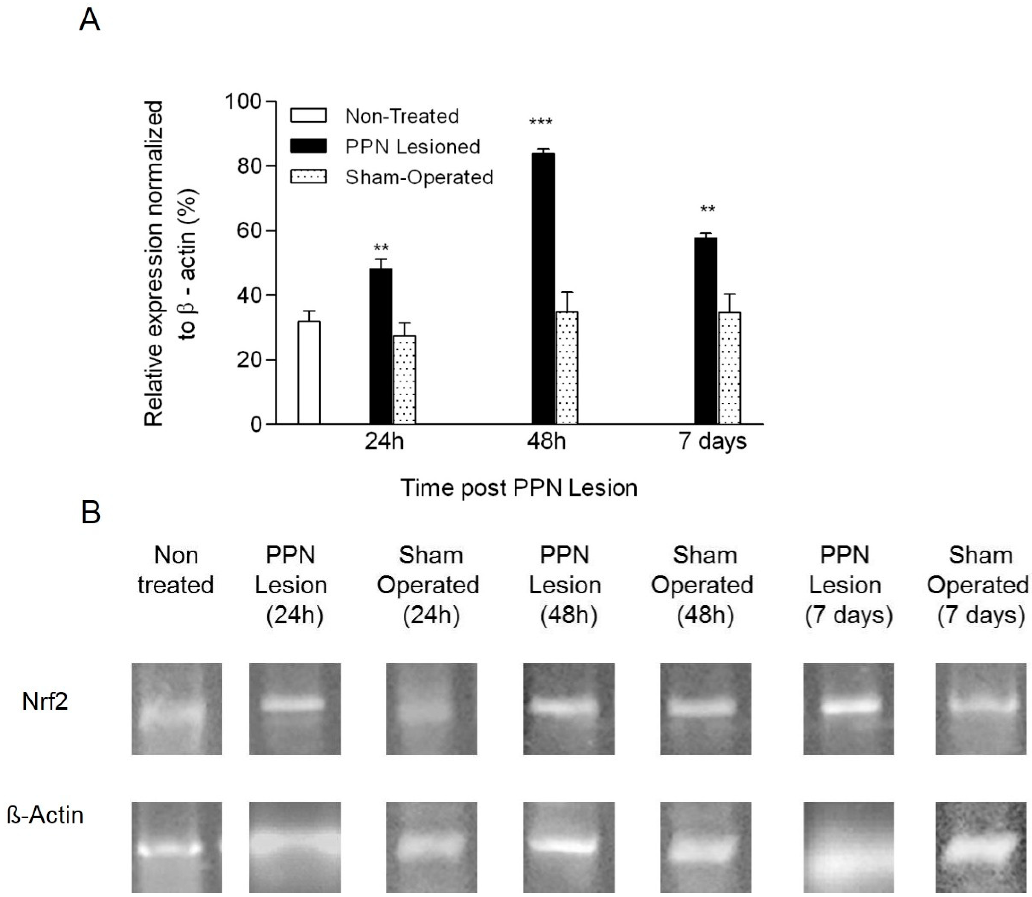 Behavsci 10 00156 g009