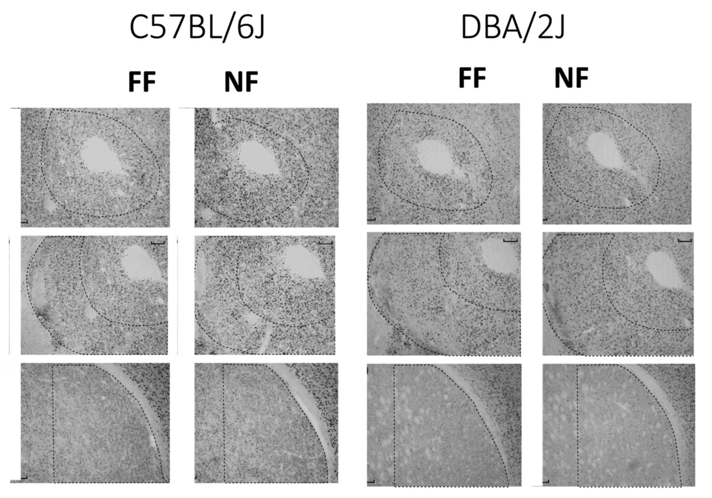 Behavsci 11 00174 g004 Behavsci 11 00174 g004