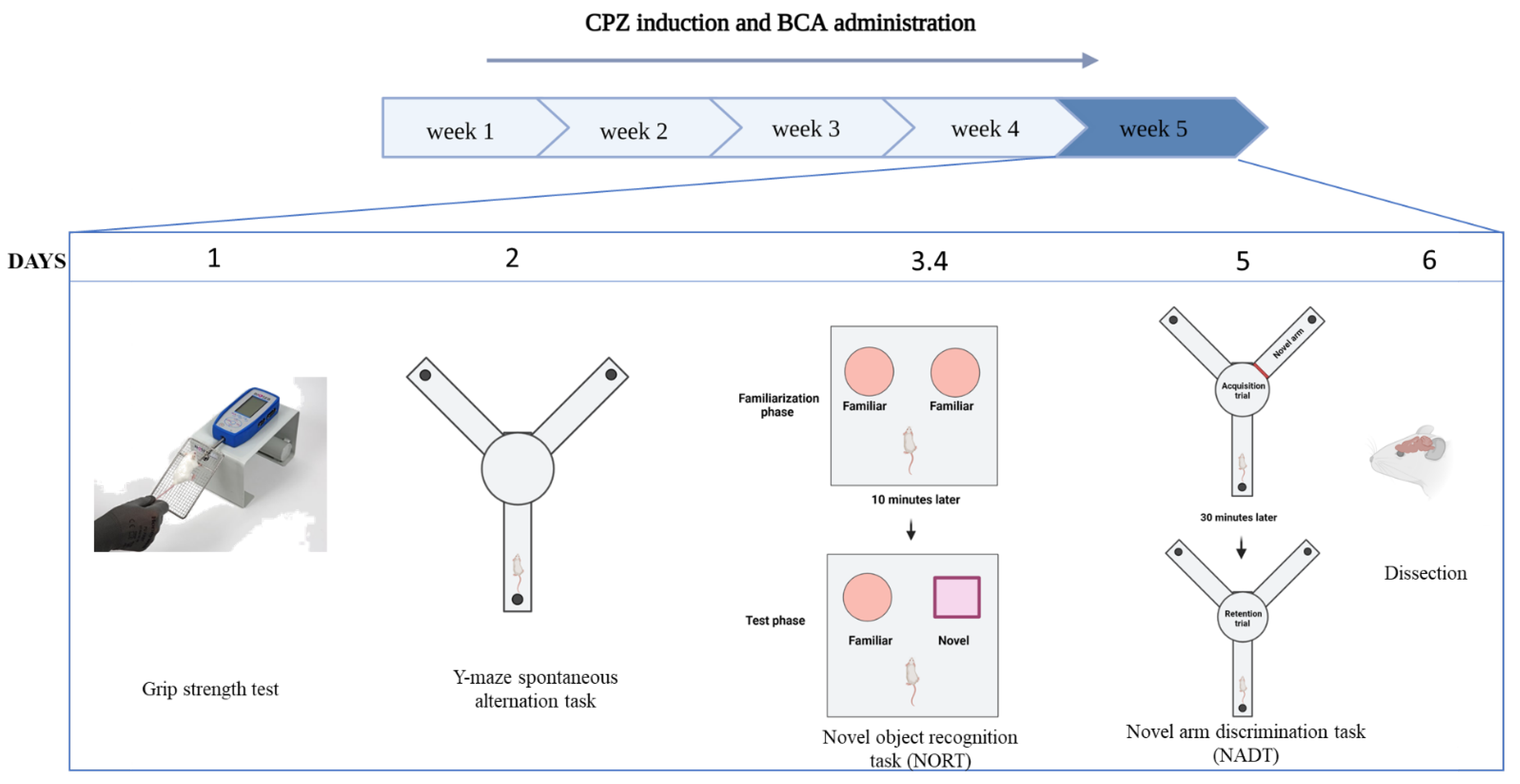 Behavsci 12 00070 g001 Behavsci 12 00070 g001
