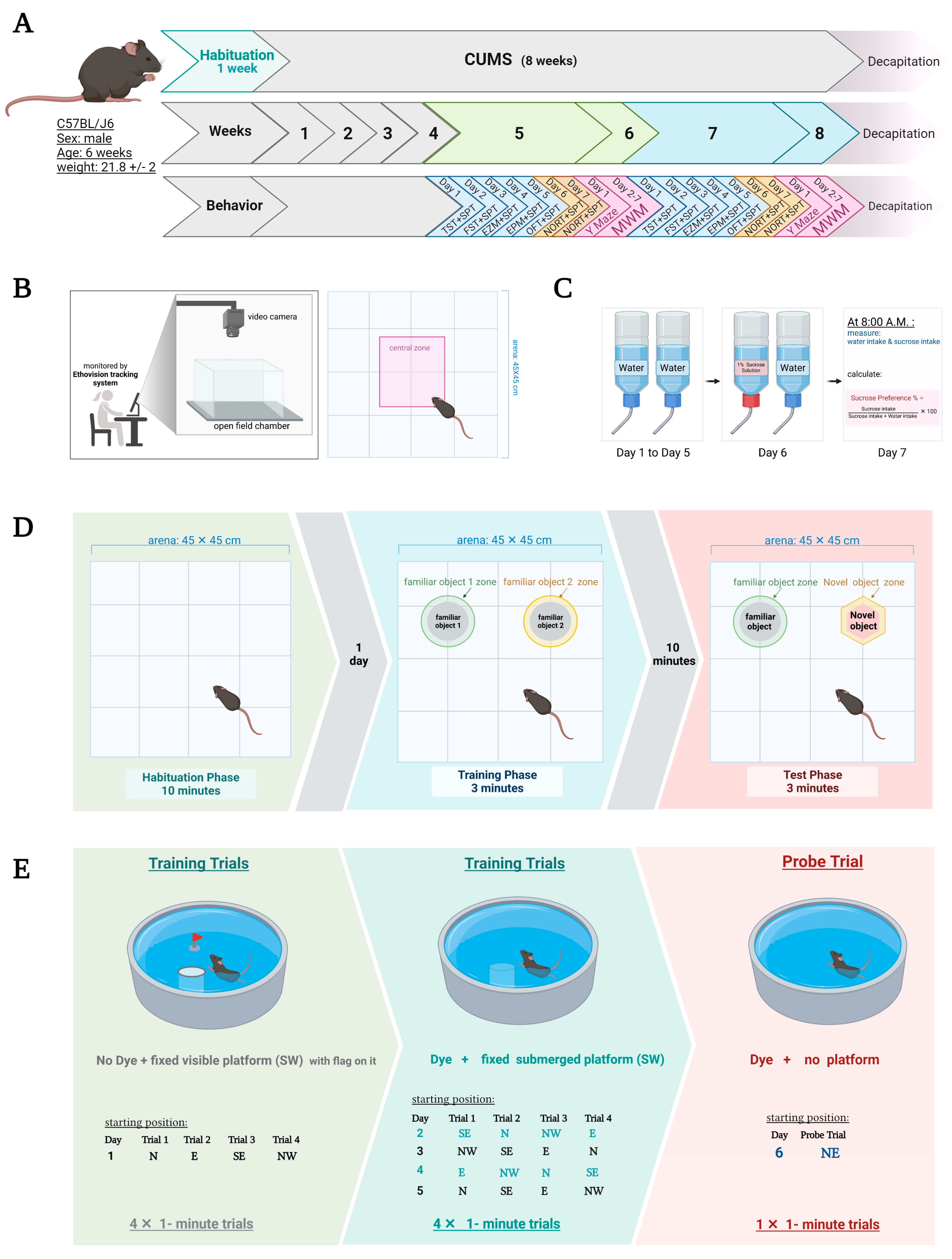 Behavsci 12 00166 g001 Behavsci 12 00166 g001