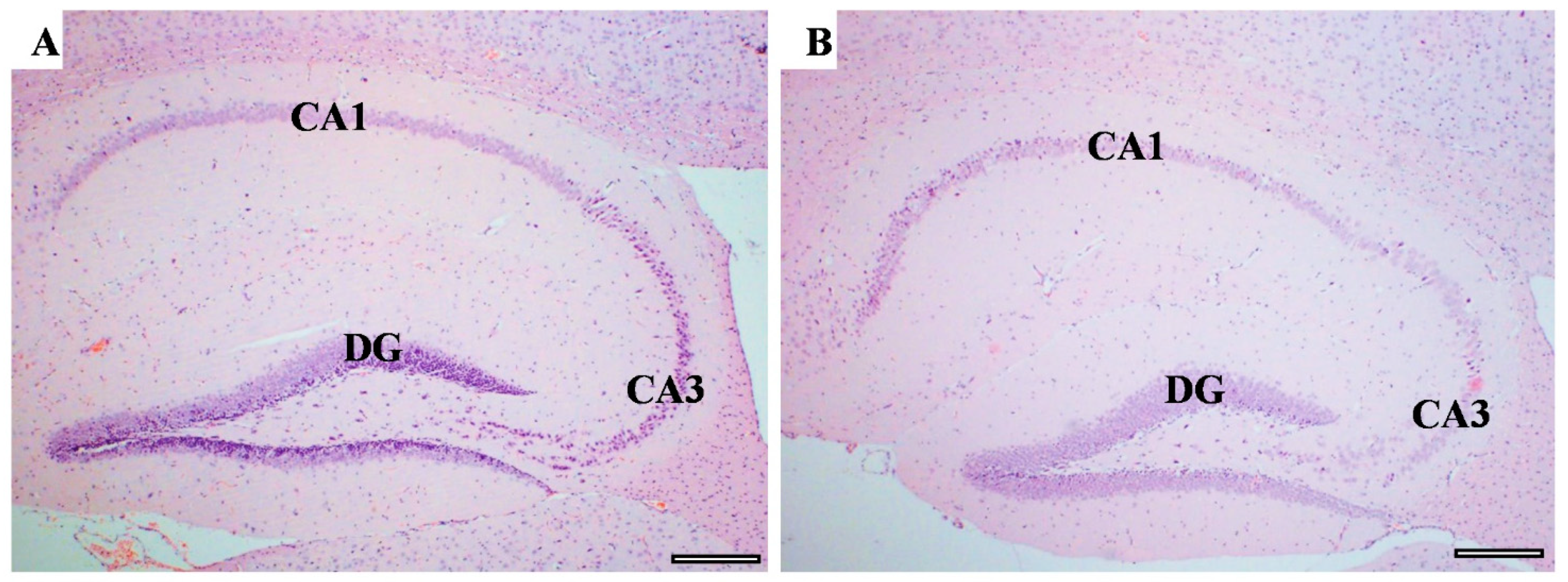 Behavsci 12 00166 g009 Behavsci 12 00166 g009