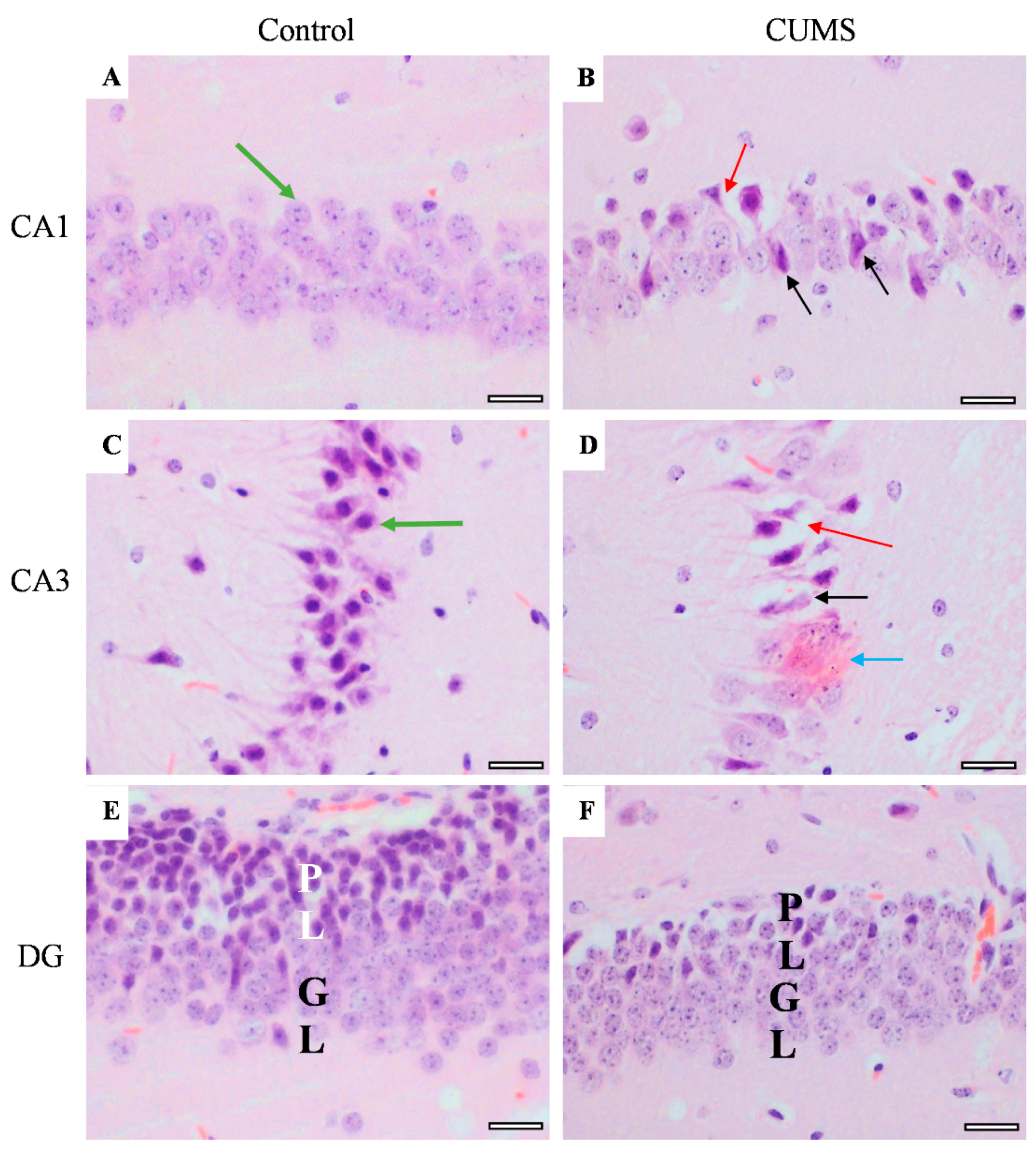 Behavsci 12 00166 g010 Behavsci 12 00166 g010