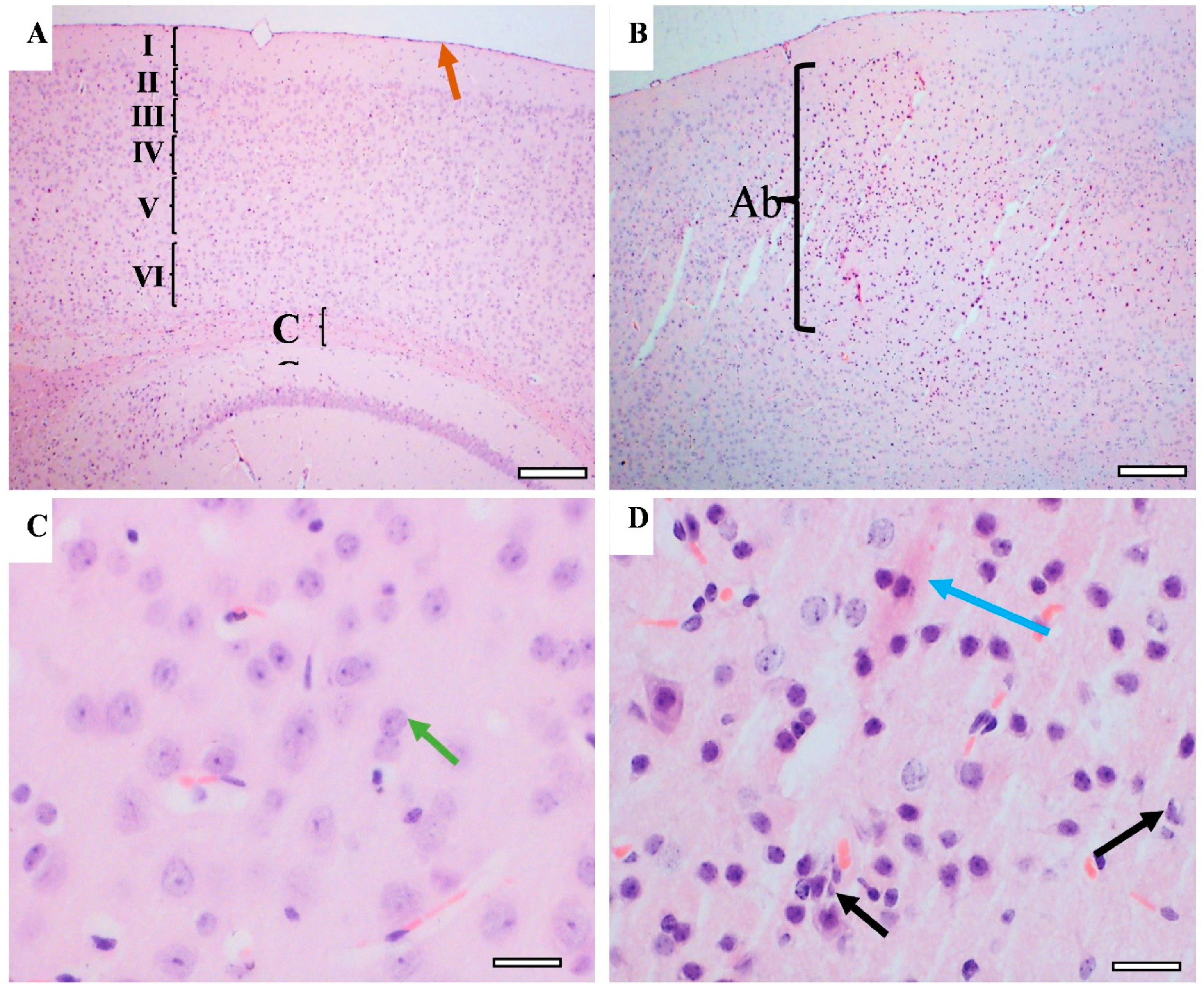 Behavsci 12 00166 g011 Behavsci 12 00166 g011