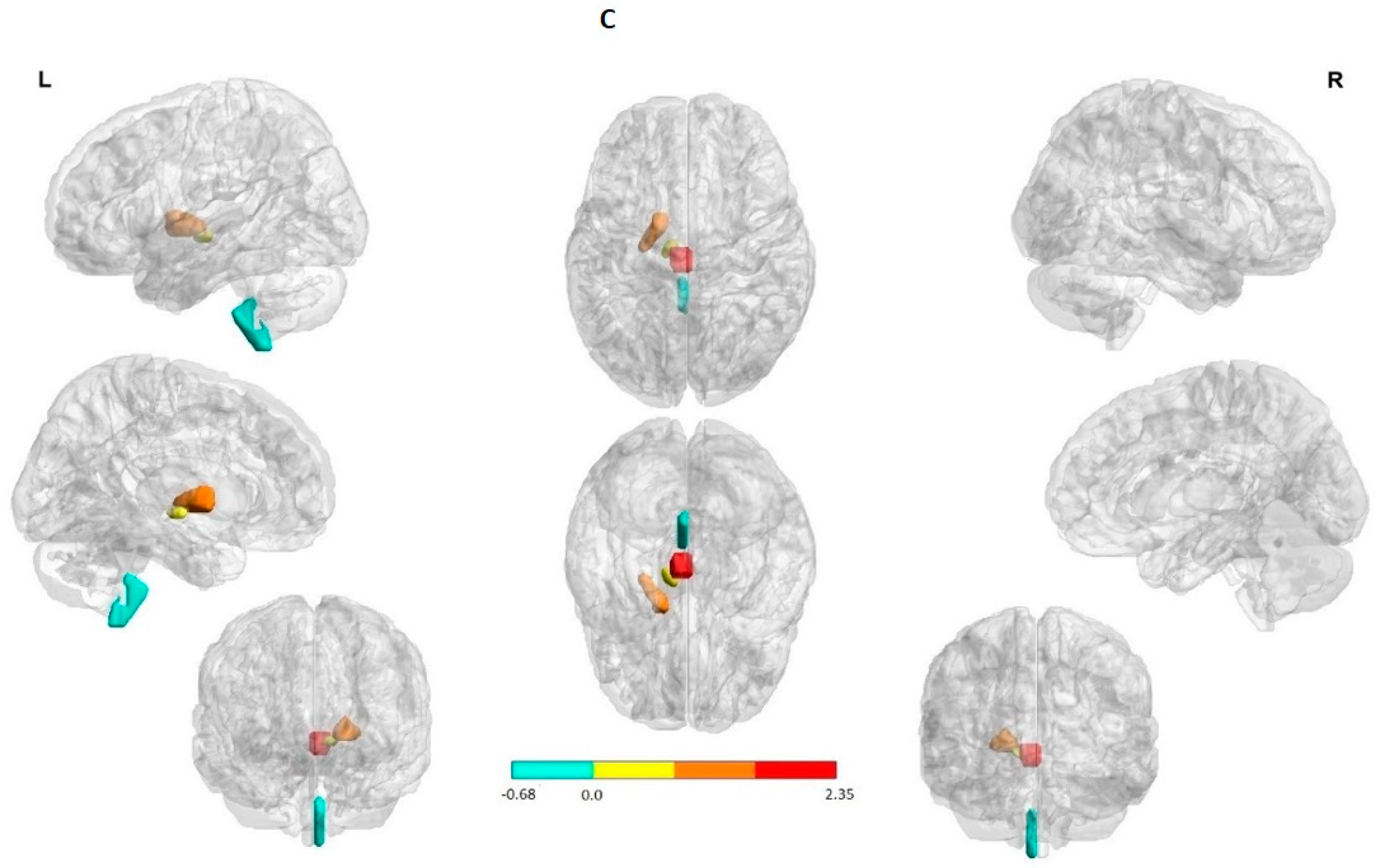 Behavsci 12 00207 g001c