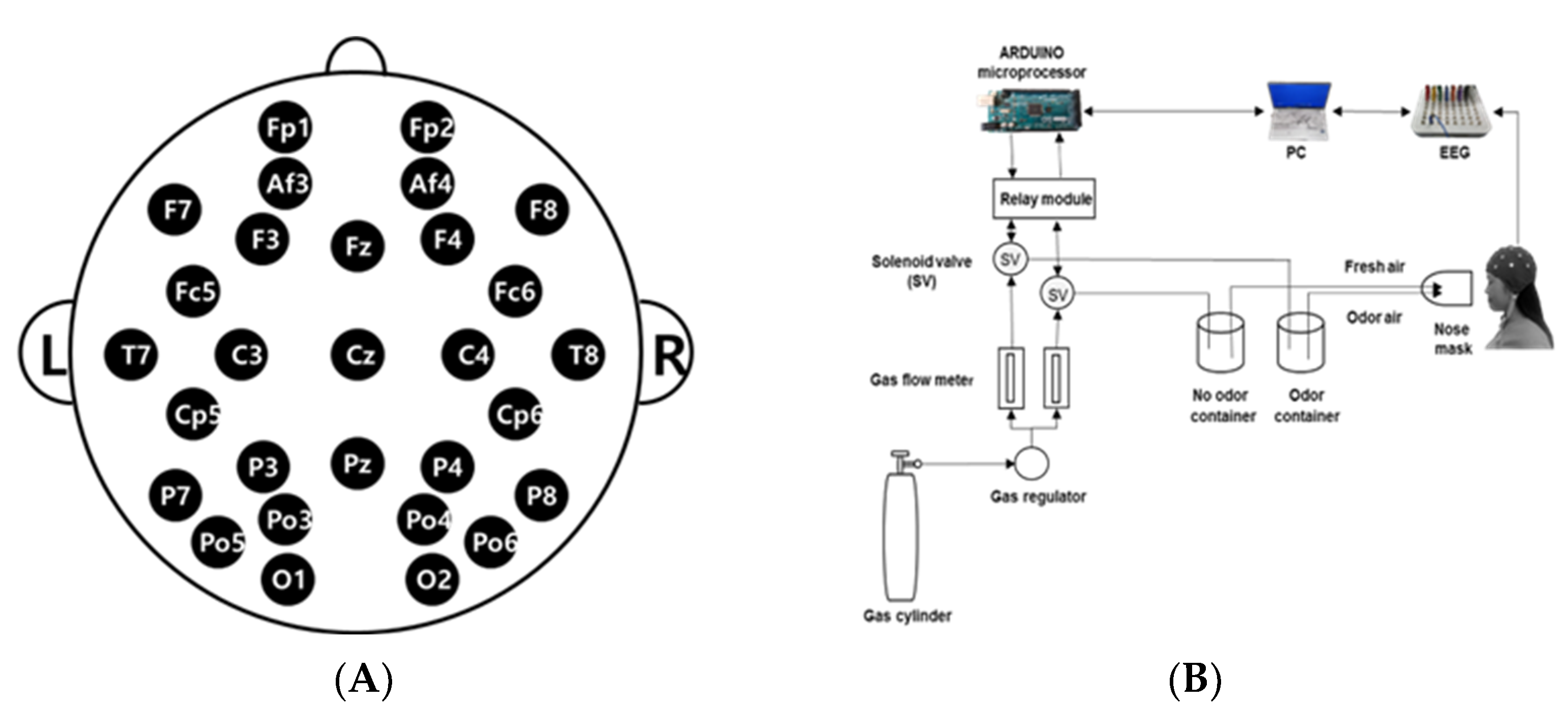 Behavsci 12 00238 g001