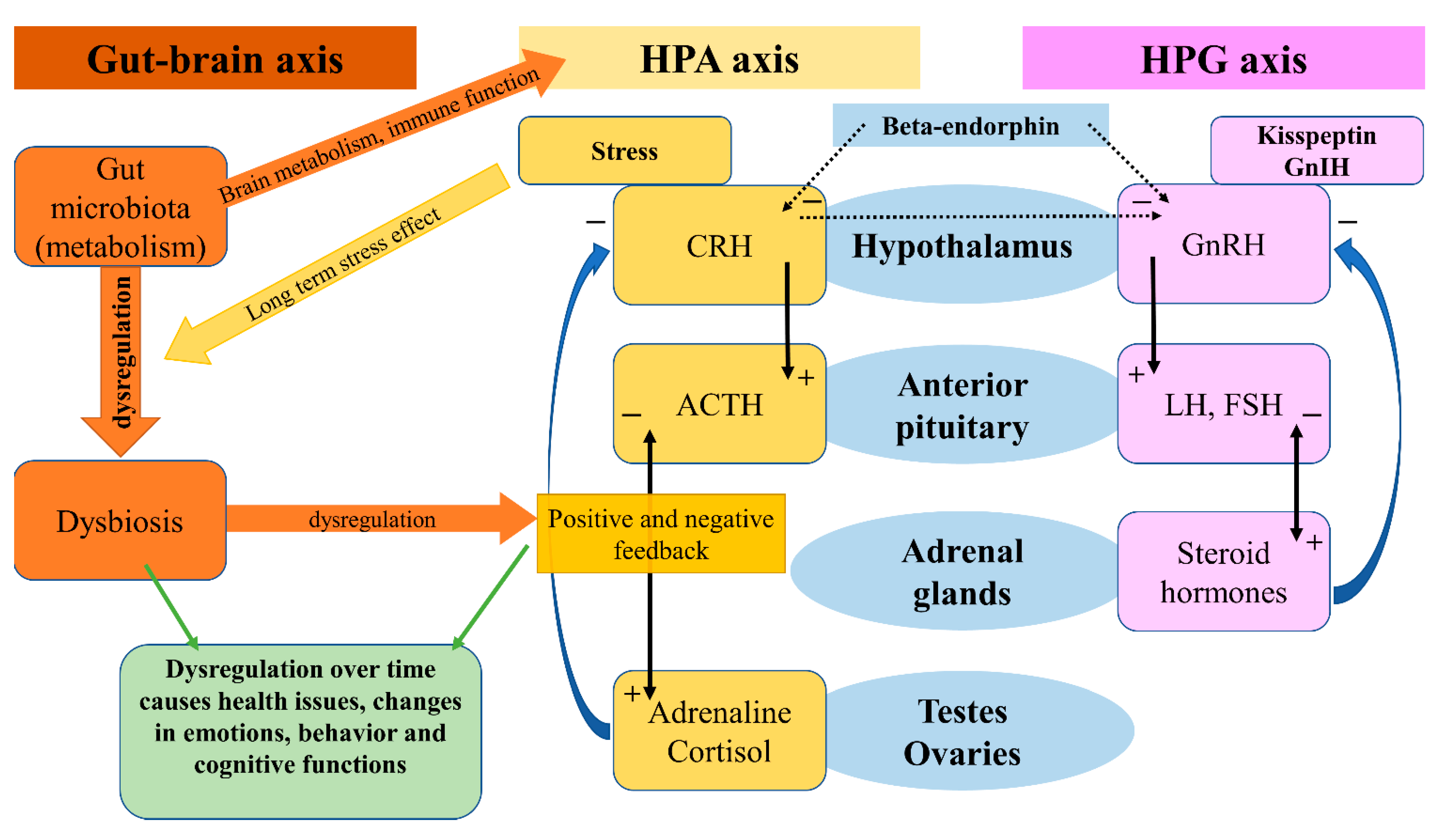 Behavsci 12 00262 g002