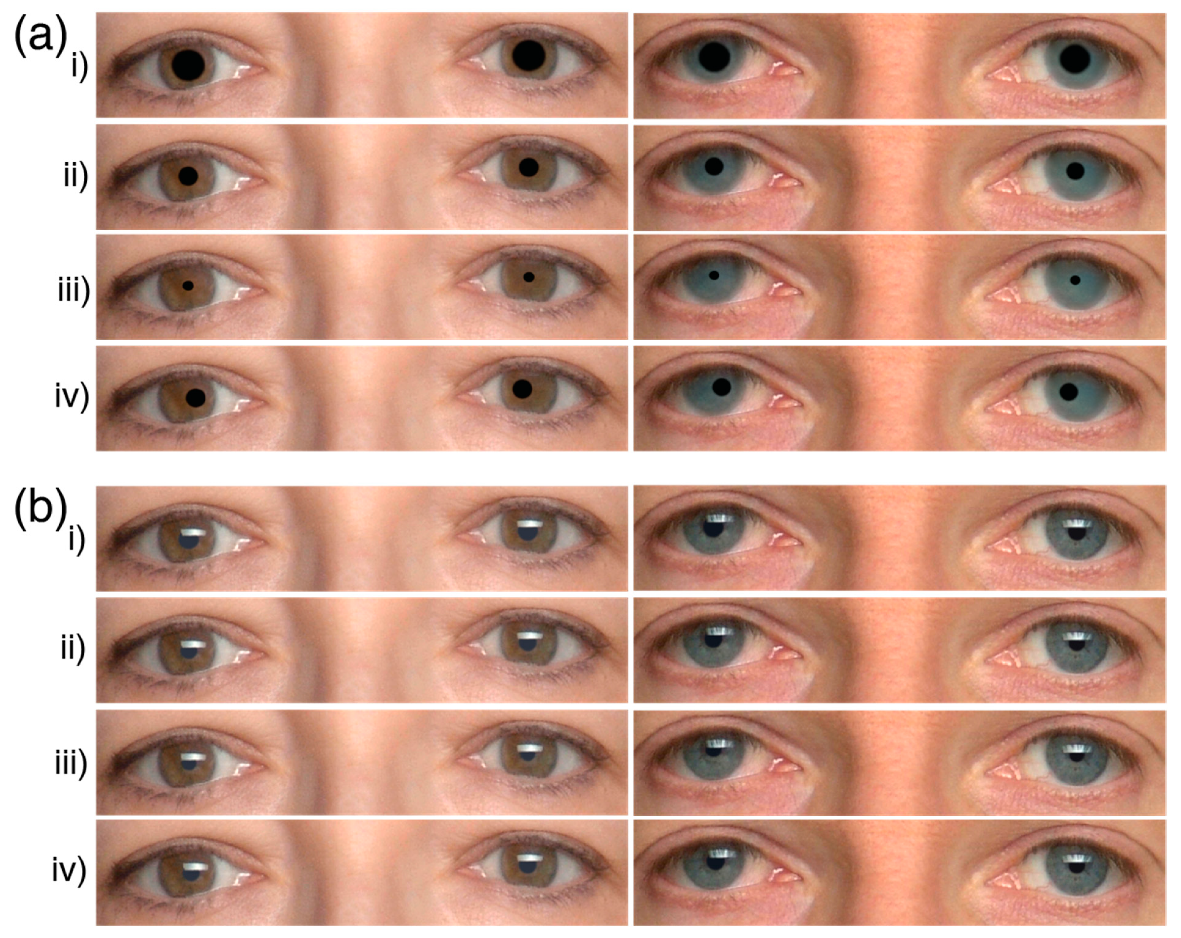 Behavsci 12 00283 g001