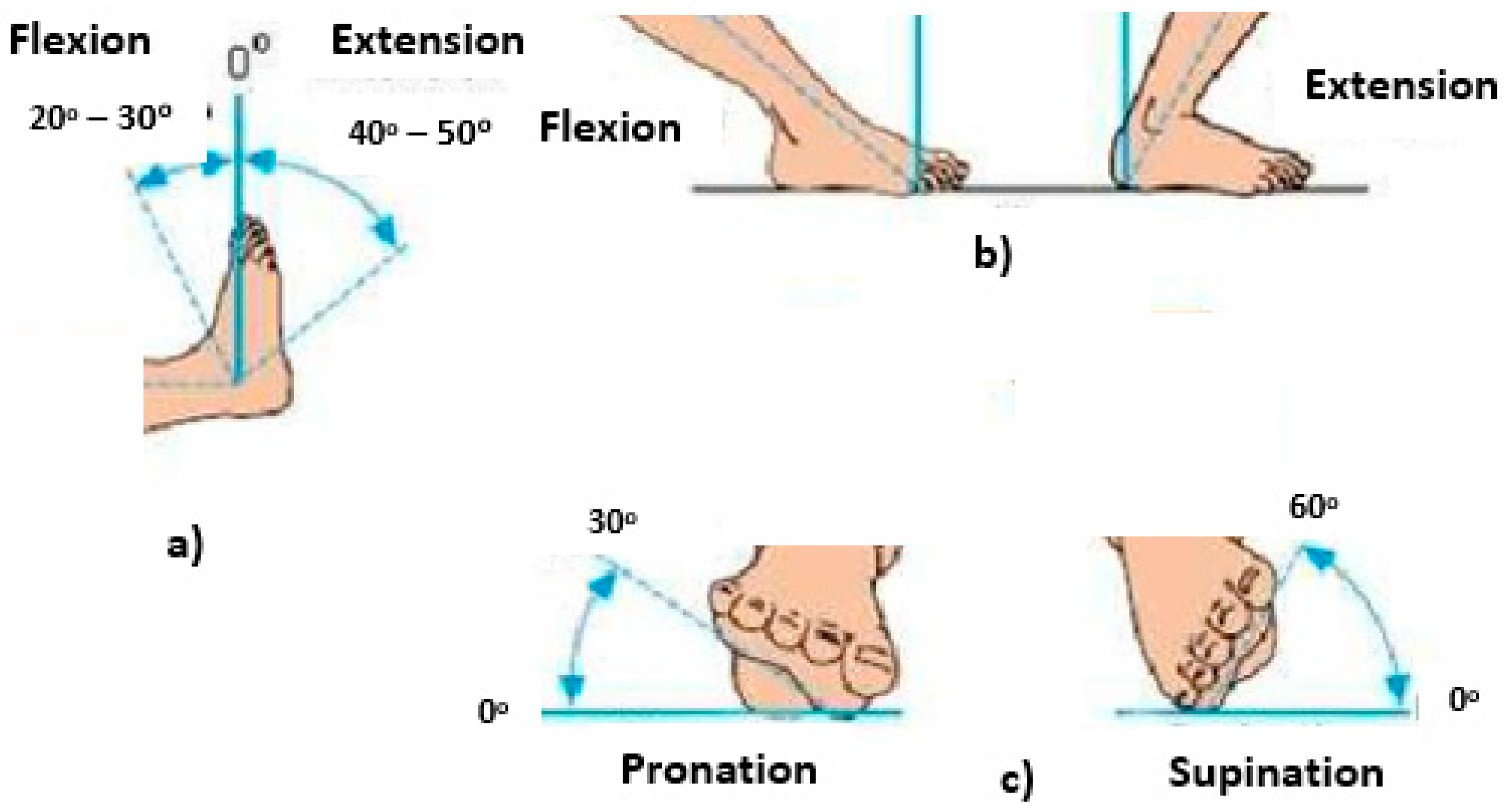 Behavsci 12 00285 g002