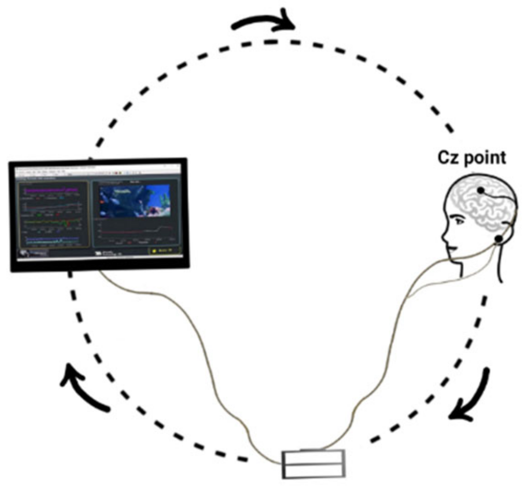 Behavsci 13 00065 g003
