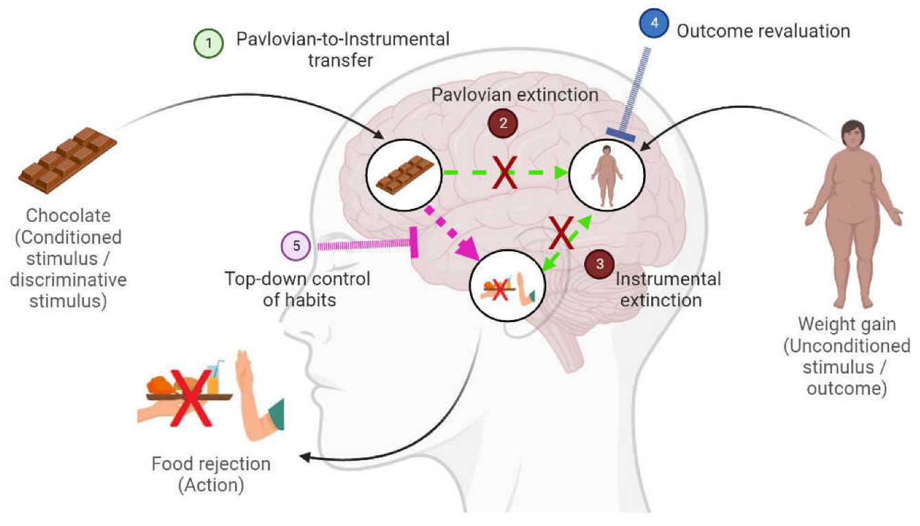 Behavsci 13 00096 g003