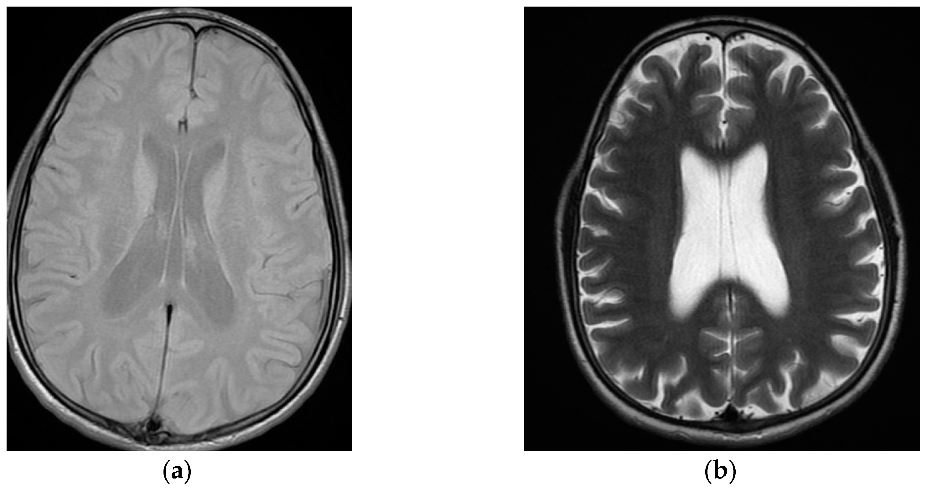 Behavsci 13 00157 g001