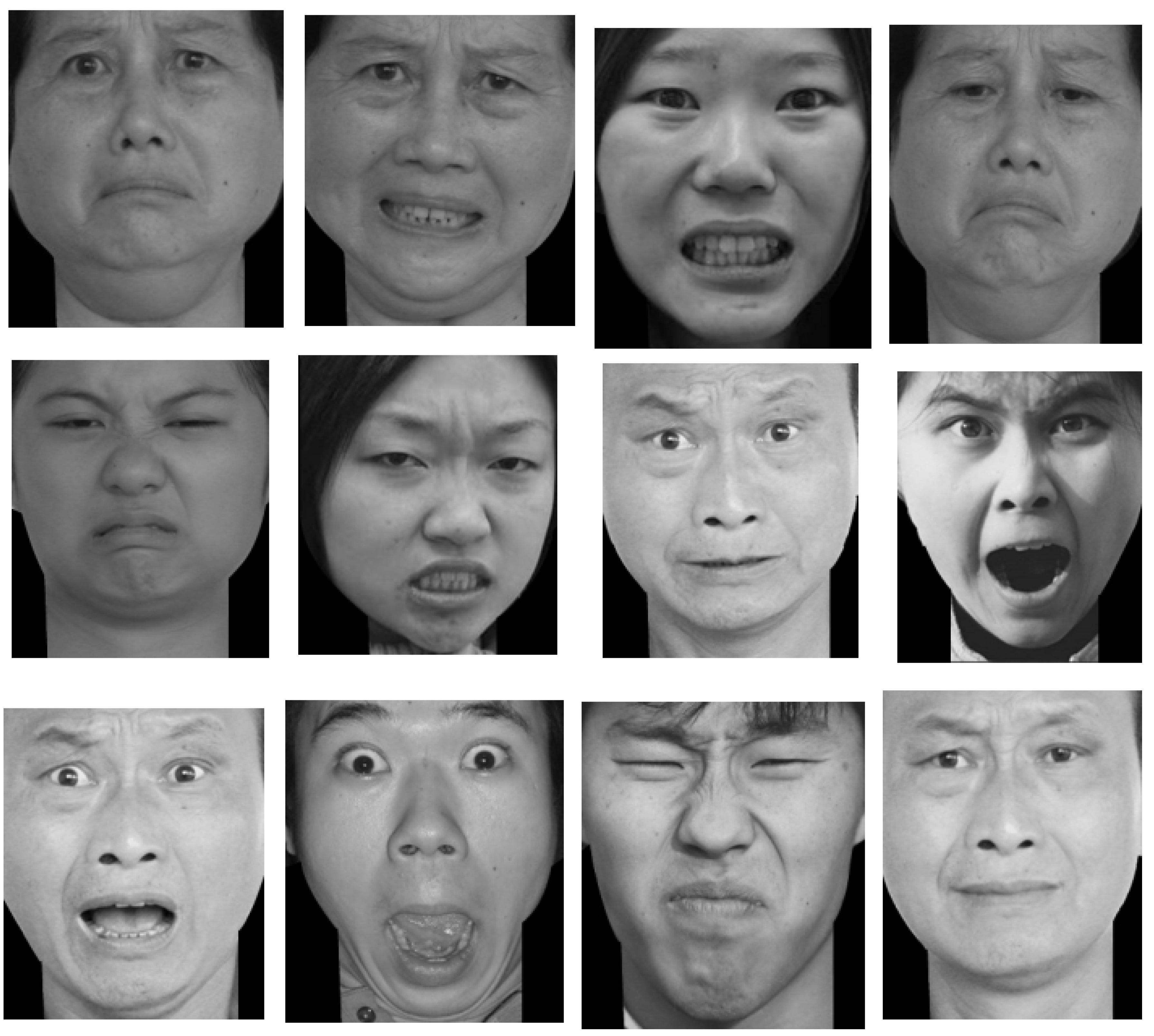 Behavsci 13 00200 g002