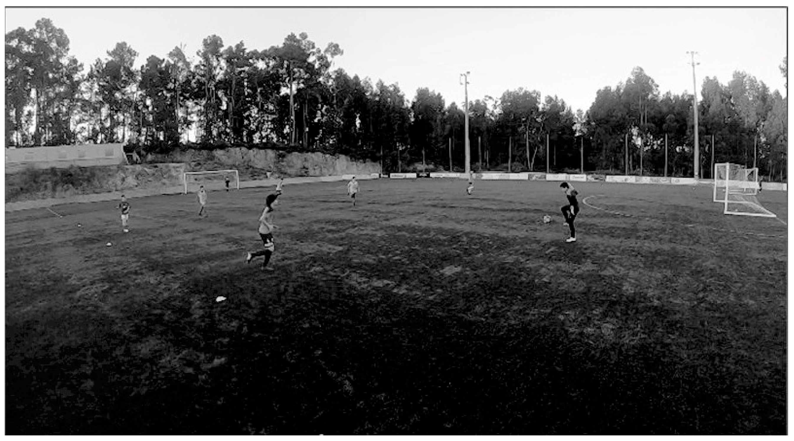 Behavsci 13 00310 g001