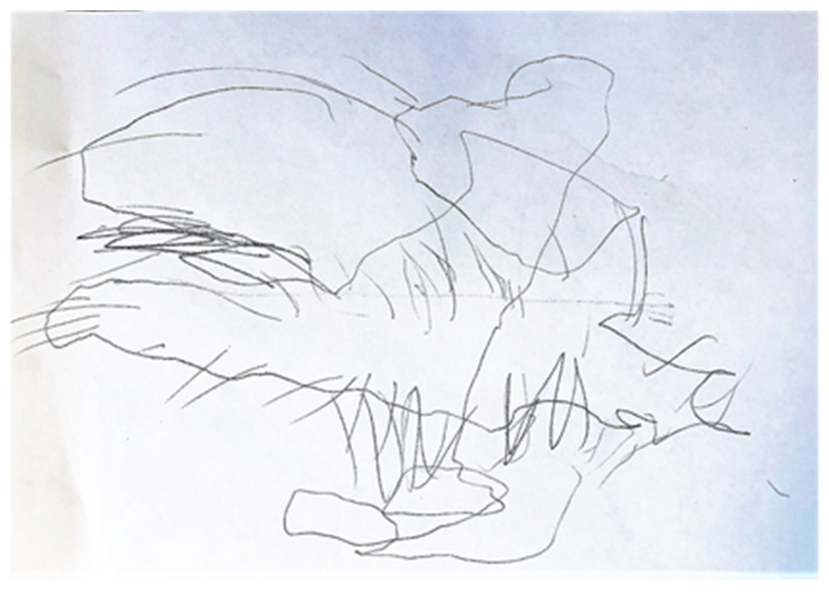 Behavsci 13 00354 g001