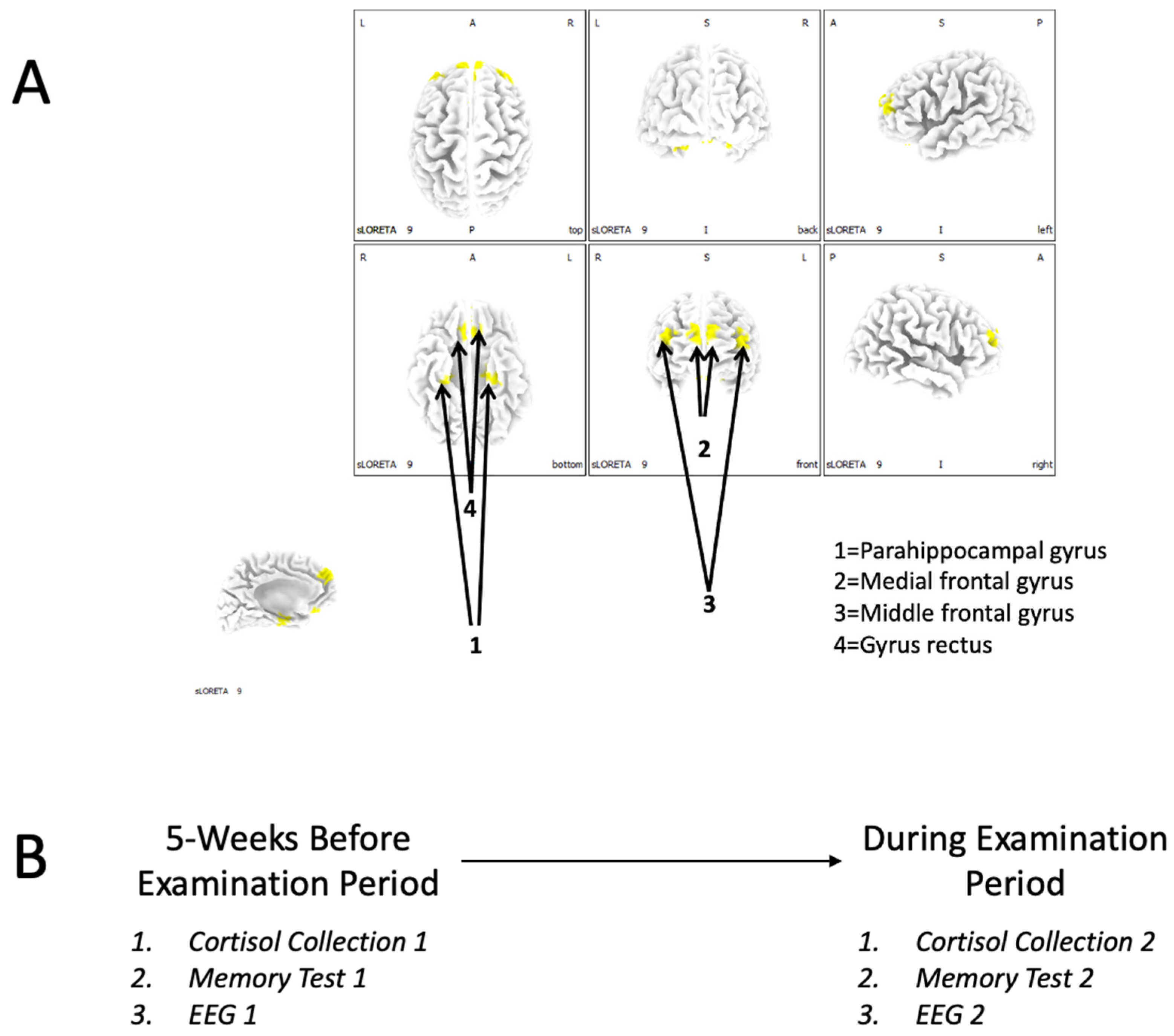 Behavsci 13 00373 g001