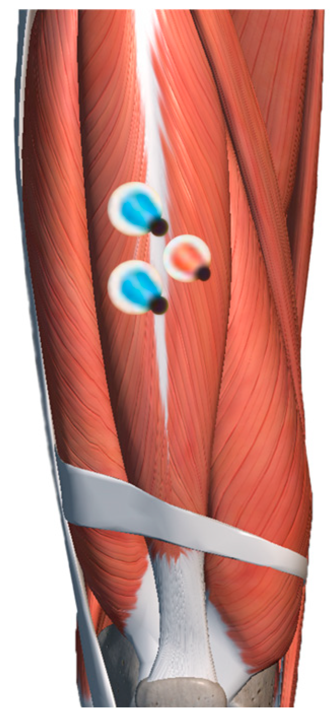 Behavsci 13 00434 g005 Behavsci 13 00434 g005